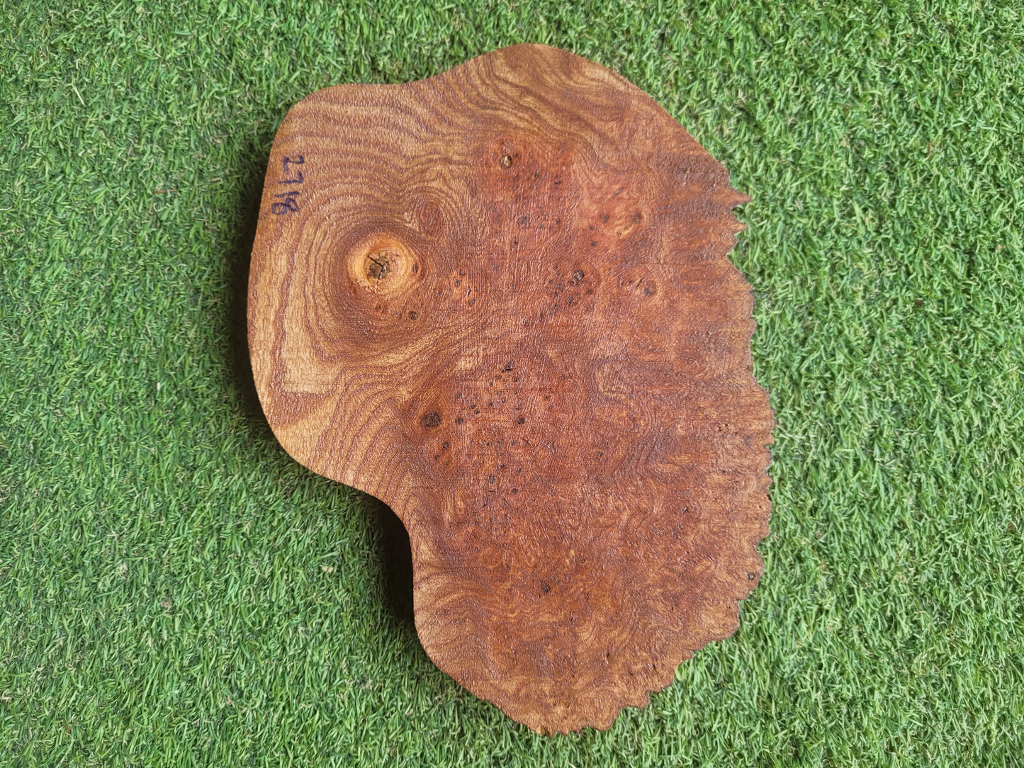 Burr Elm Woodturning Blank 23x17x2.3cm (2718)