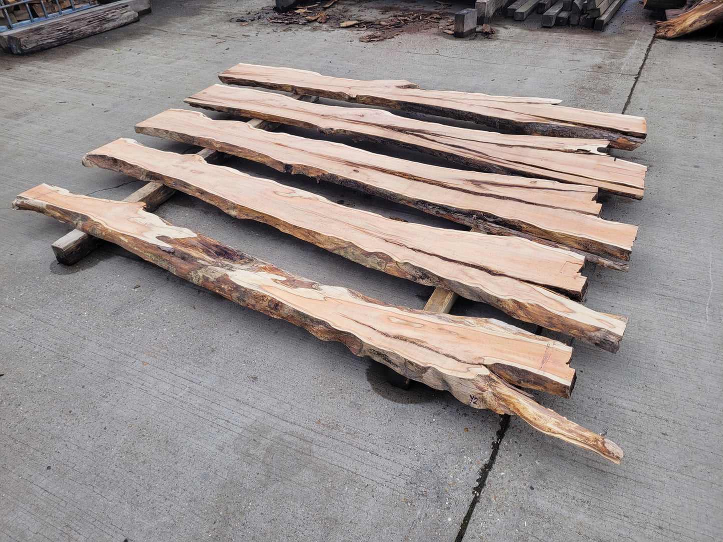 Yew Log 2.4m 7.25 ft3 (Y2)