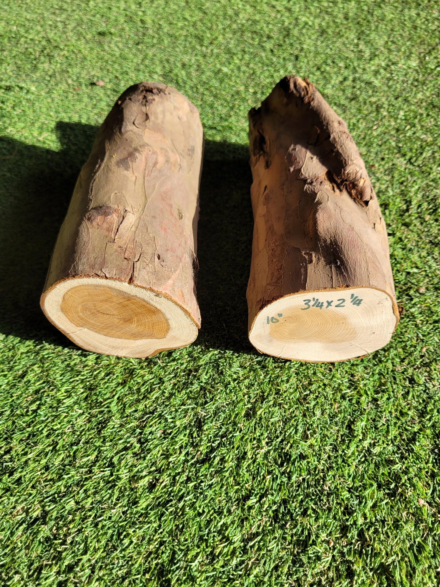 Mixed Wood Offcuts Pack of 5 Pieces Yew, Sapele, Oak, Iroko (2617)