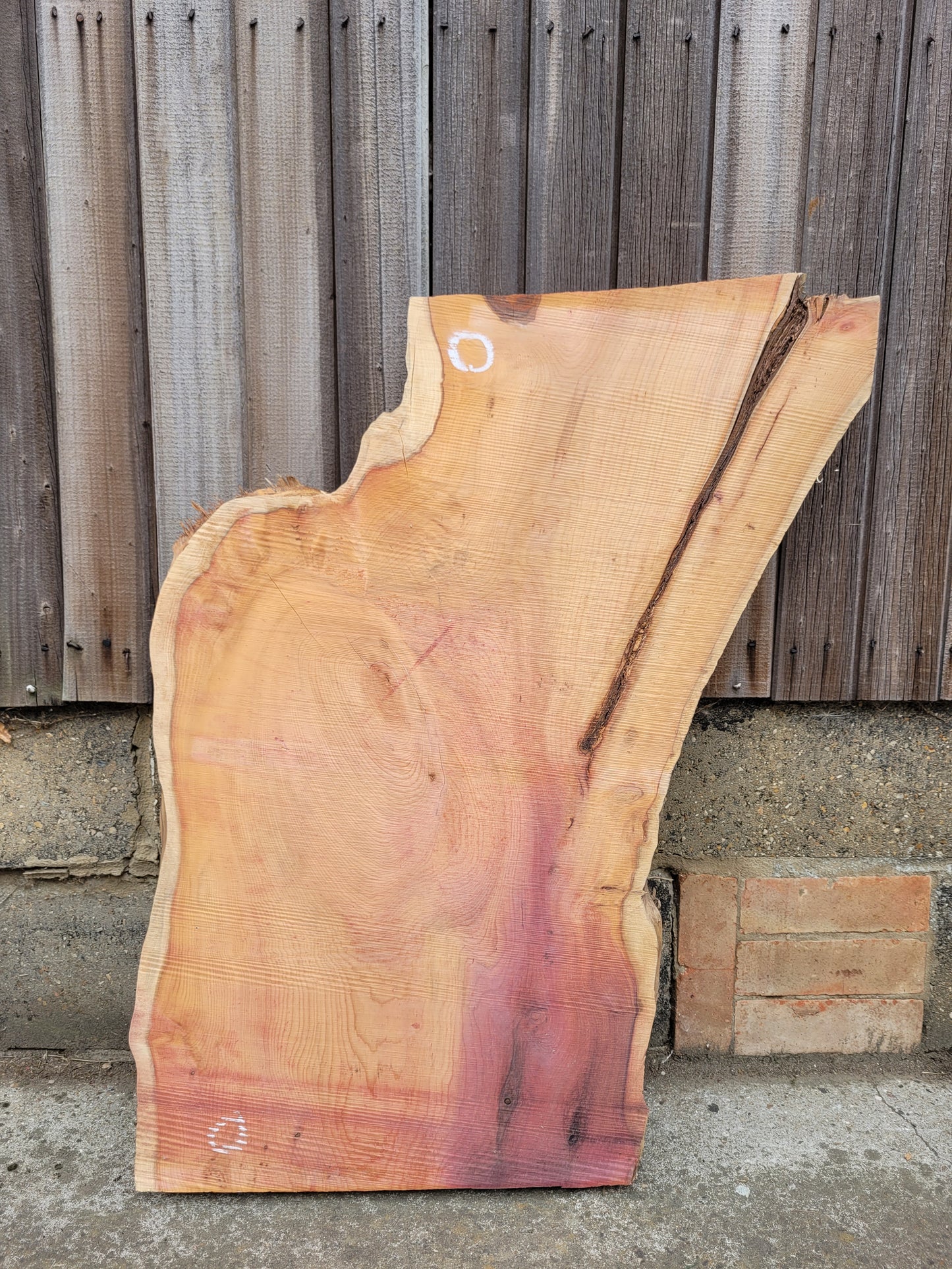 Yew Live Edge Slabs