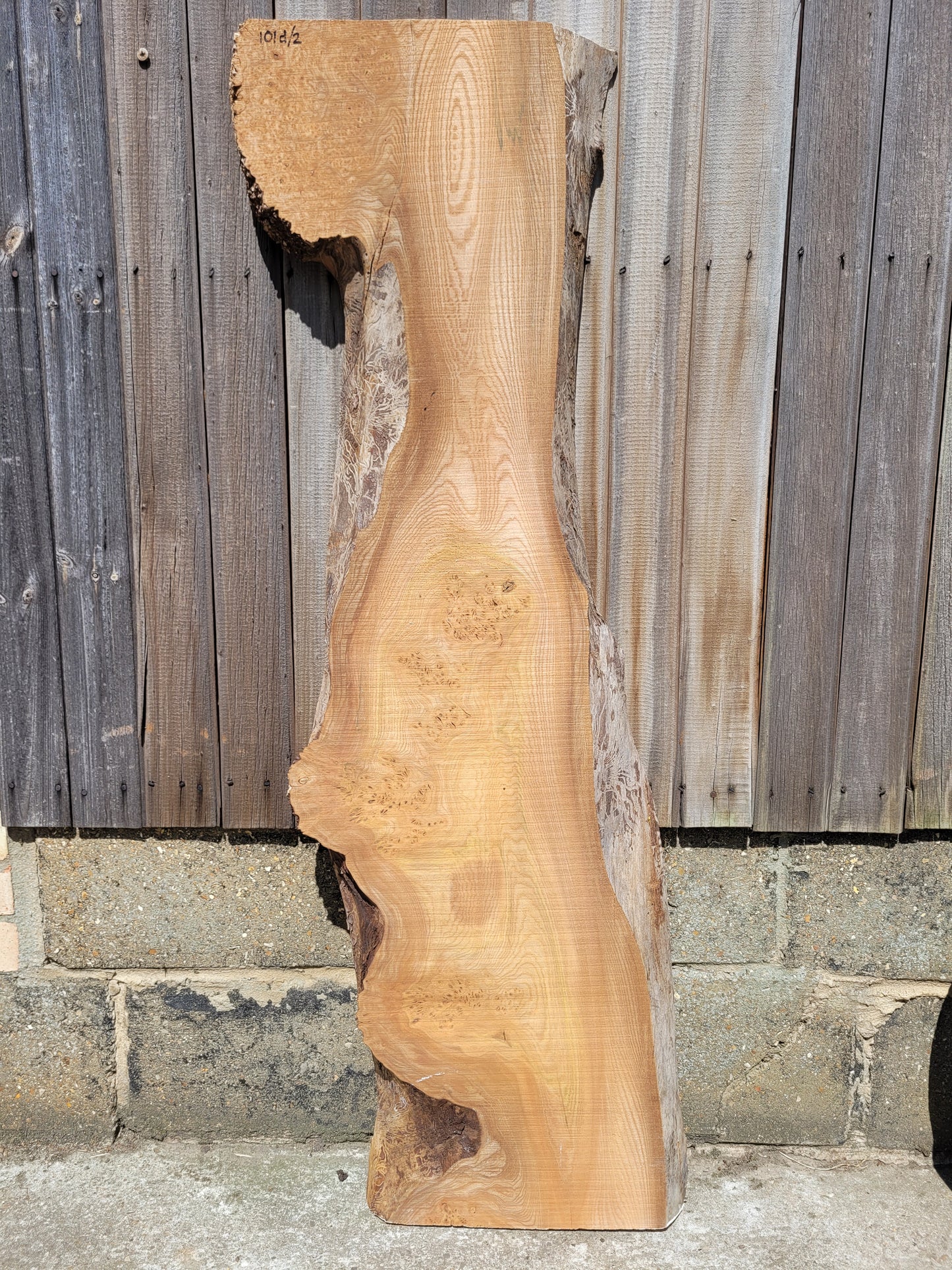 Burr Elm Live Edge Boards (101d/2&3)