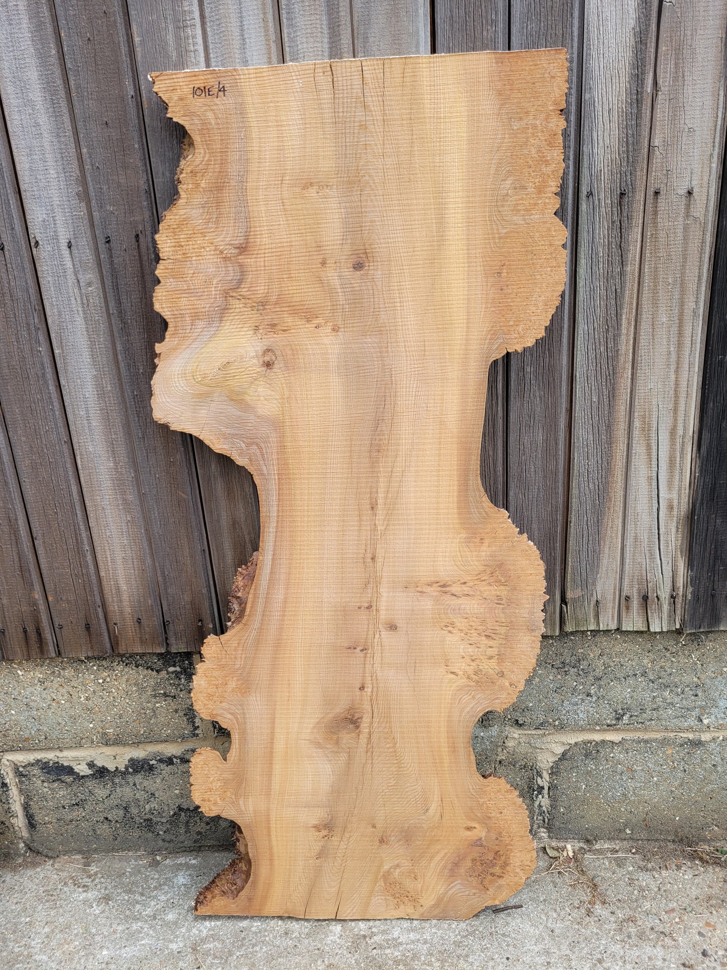 Burr Elm Live Edge Boards (101e/1-5)
