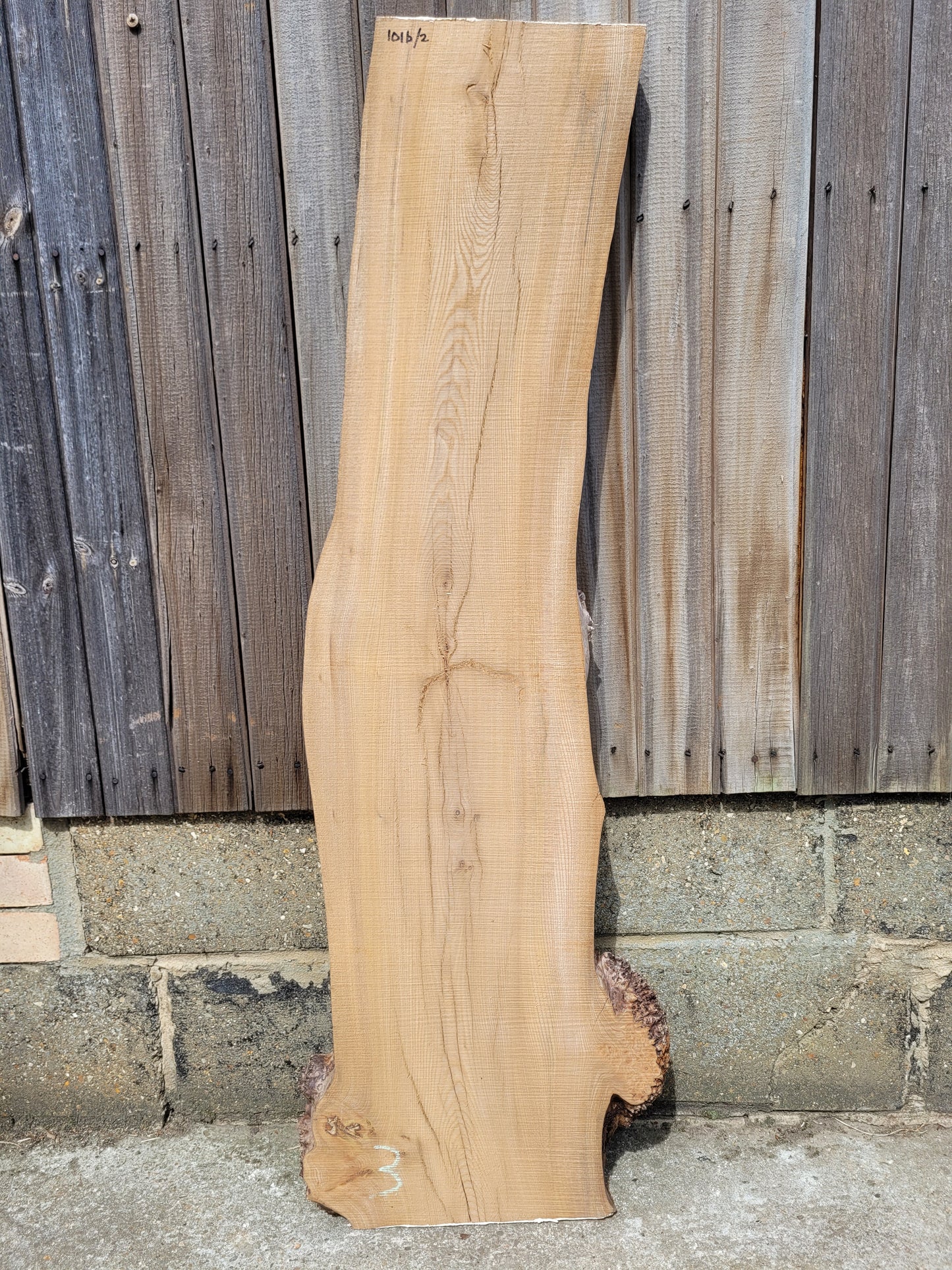 Burr Elm Live Edge Boards (101b/1&2)