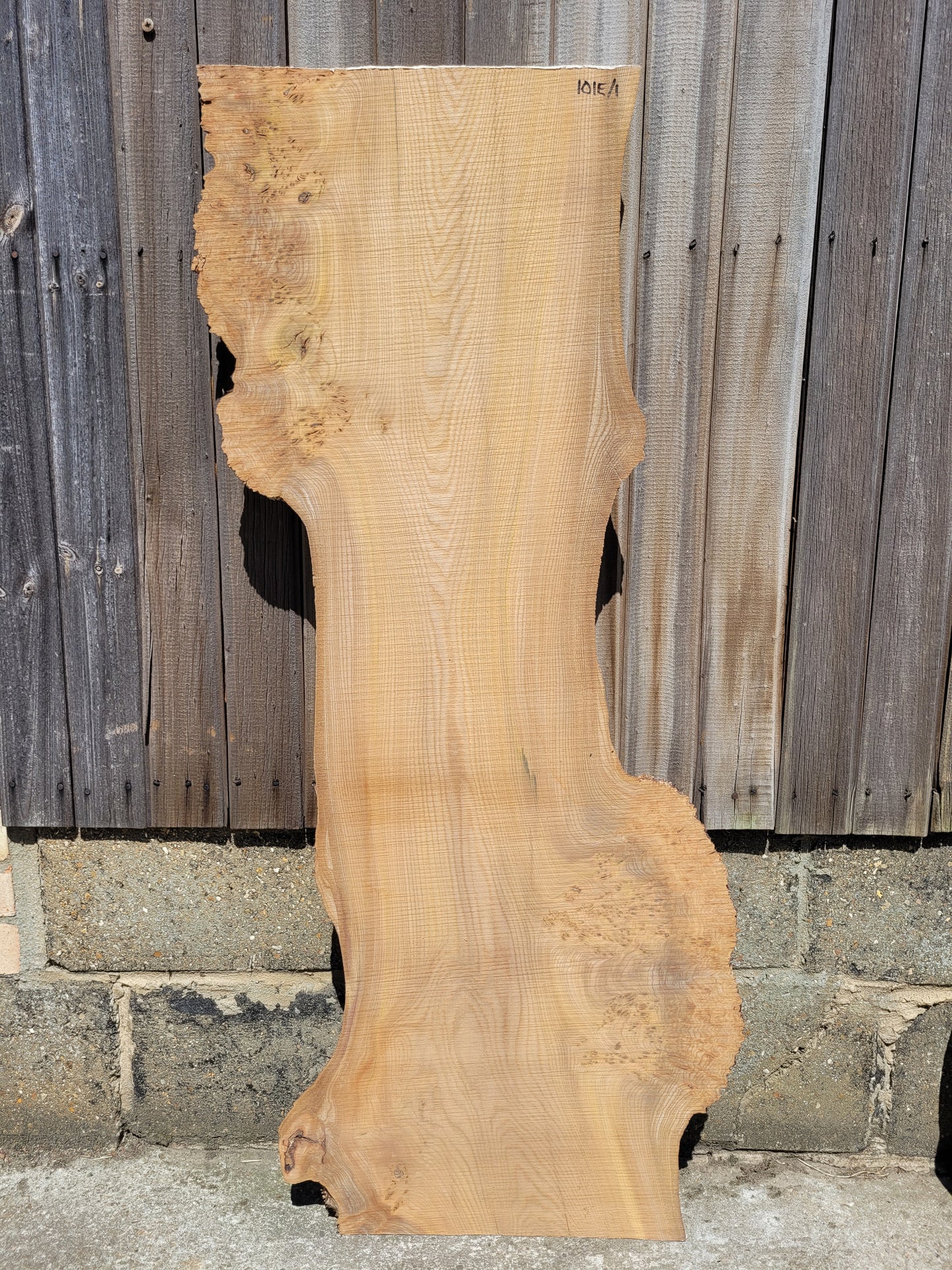 Burr Elm Live Edge Boards (101e/1&2)