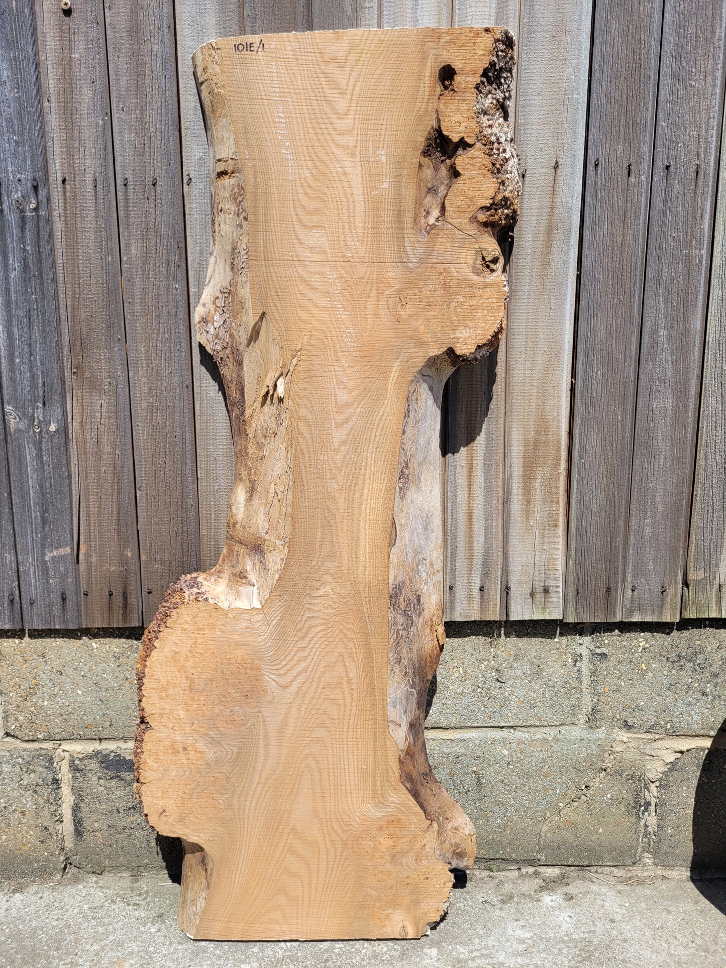 Burr Elm Live Edge Boards (101e/1&2)