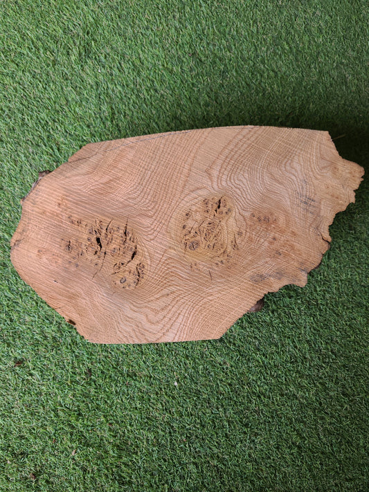 Burr Elm Woodturning Blank 30x19x6cm (B19)