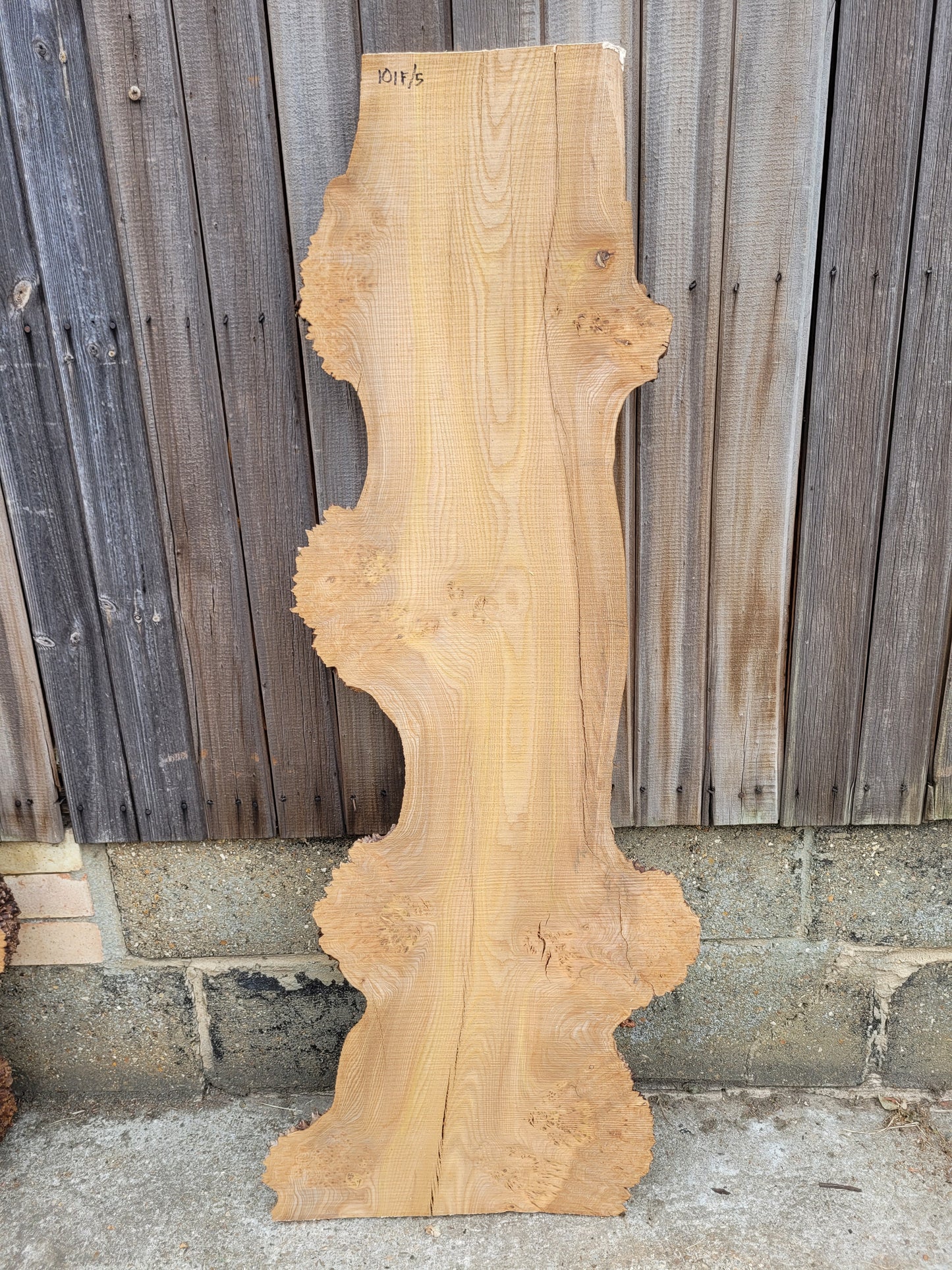 Burr Elm Live Edge Boards (101f/1-5)