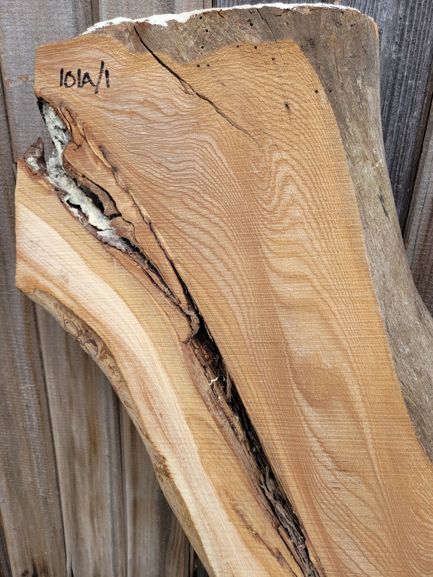 Burr Elm Live Edge Boards Rustic (101a/1-3)