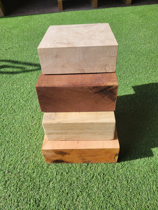 Hardwood Pack of 4 Mixed Turning Blanks (2667)