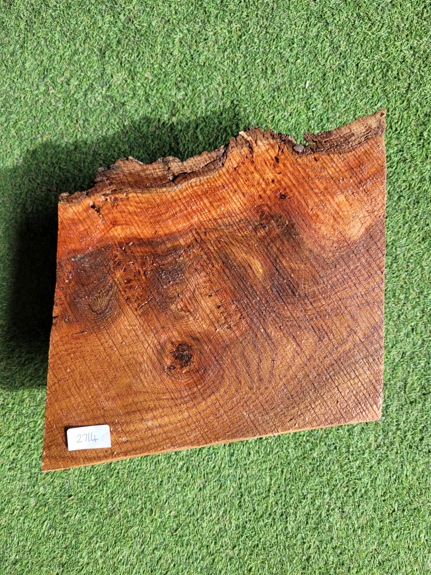 Carpathian Elm Burr Woodturning Blank (2714)