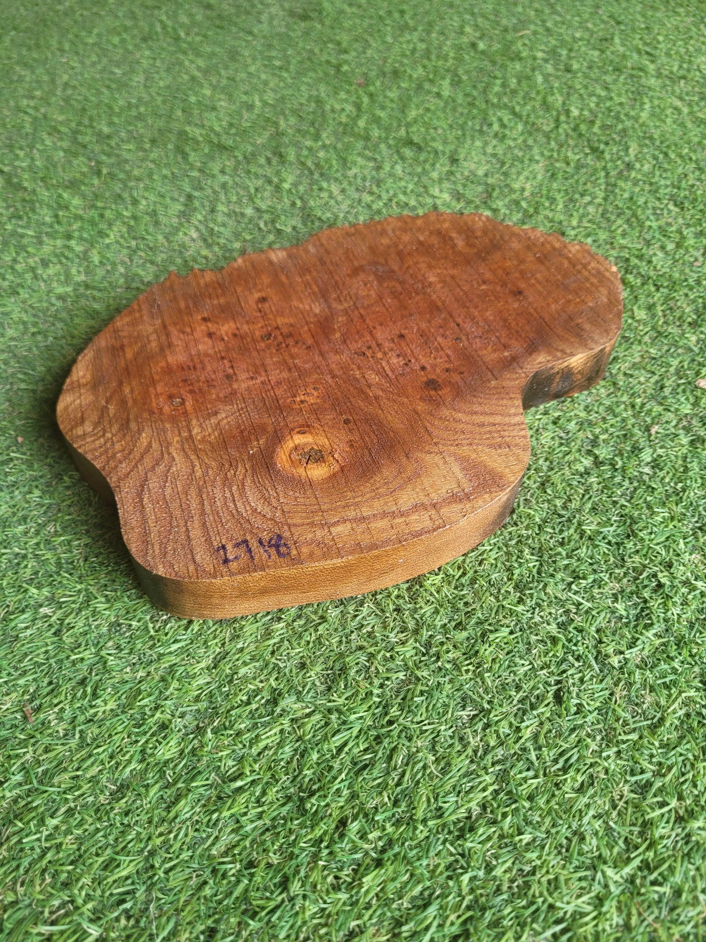 Burr Elm Woodturning Blank 23x17x2.3cm (2718)