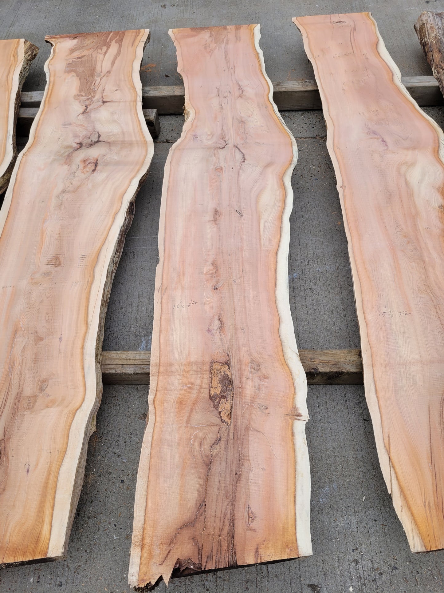 Yew Log 2.1m Long 8ft3 (Y1)
