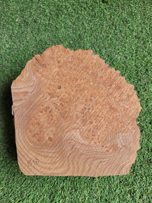 Burr Elm Woodturning Blank 20x20x6cm (B18)