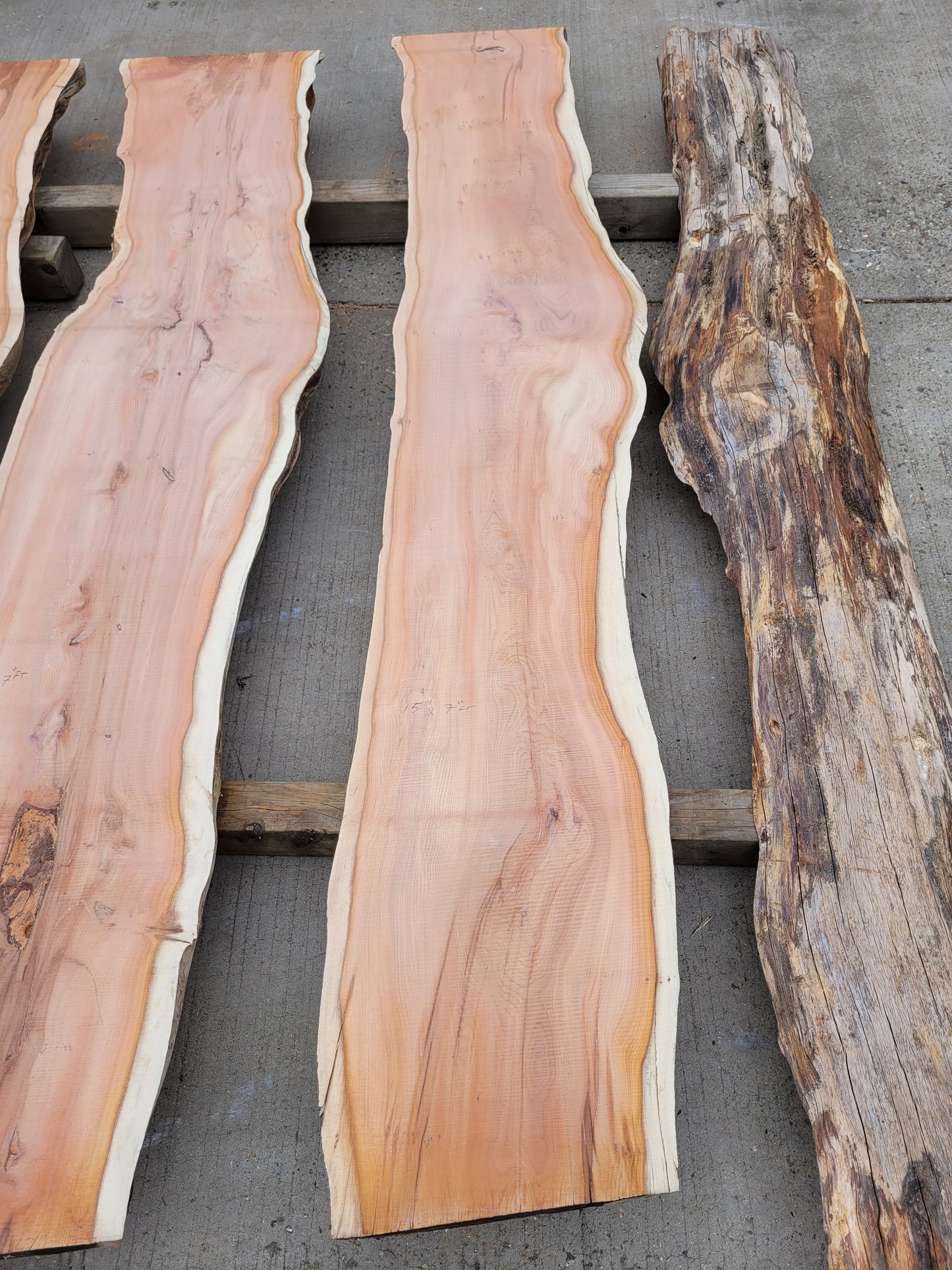 Yew Log 2.1m Long 8ft3 (Y1)