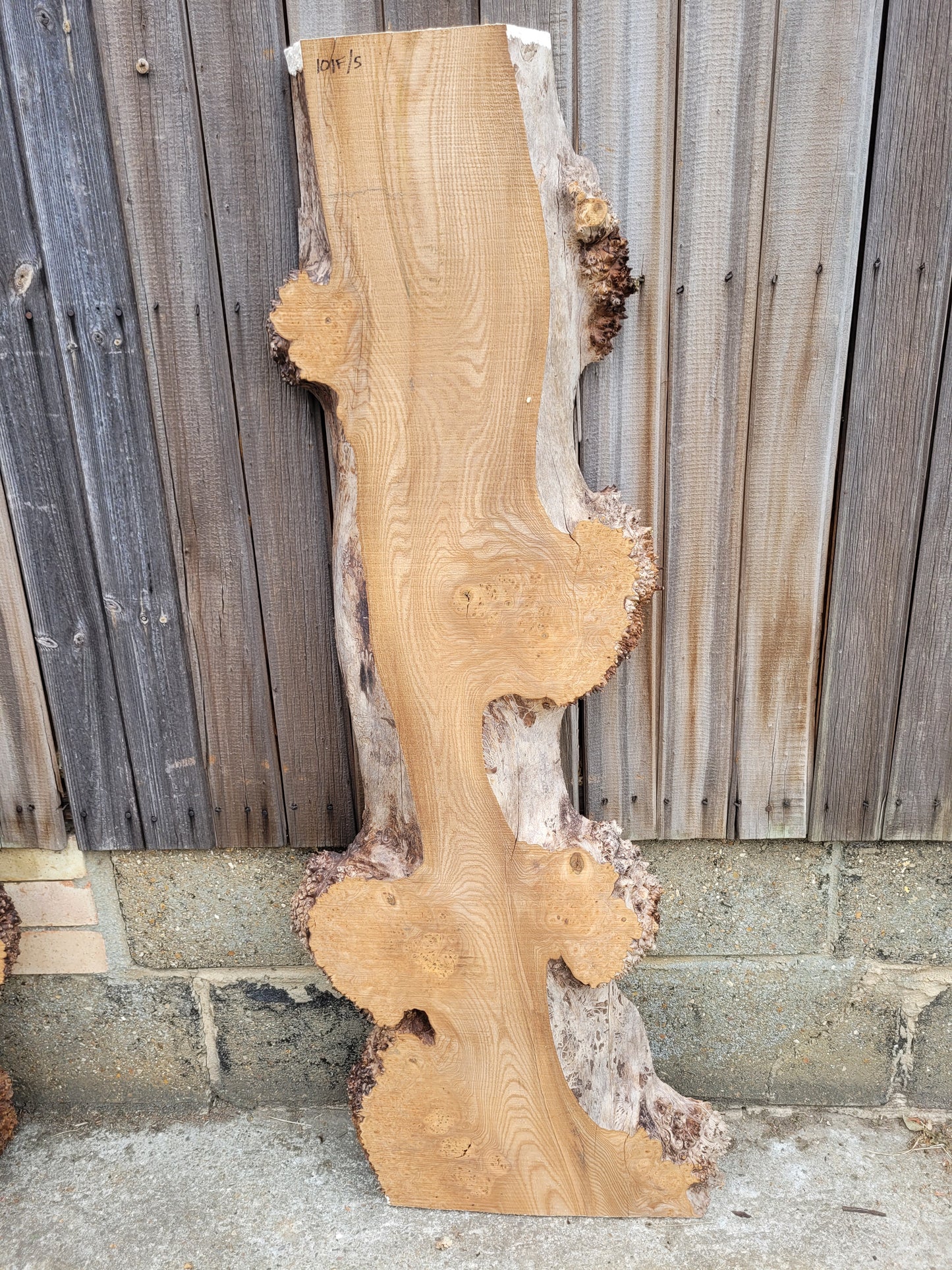 Burr Elm Live Edge Boards (101f/1-5)