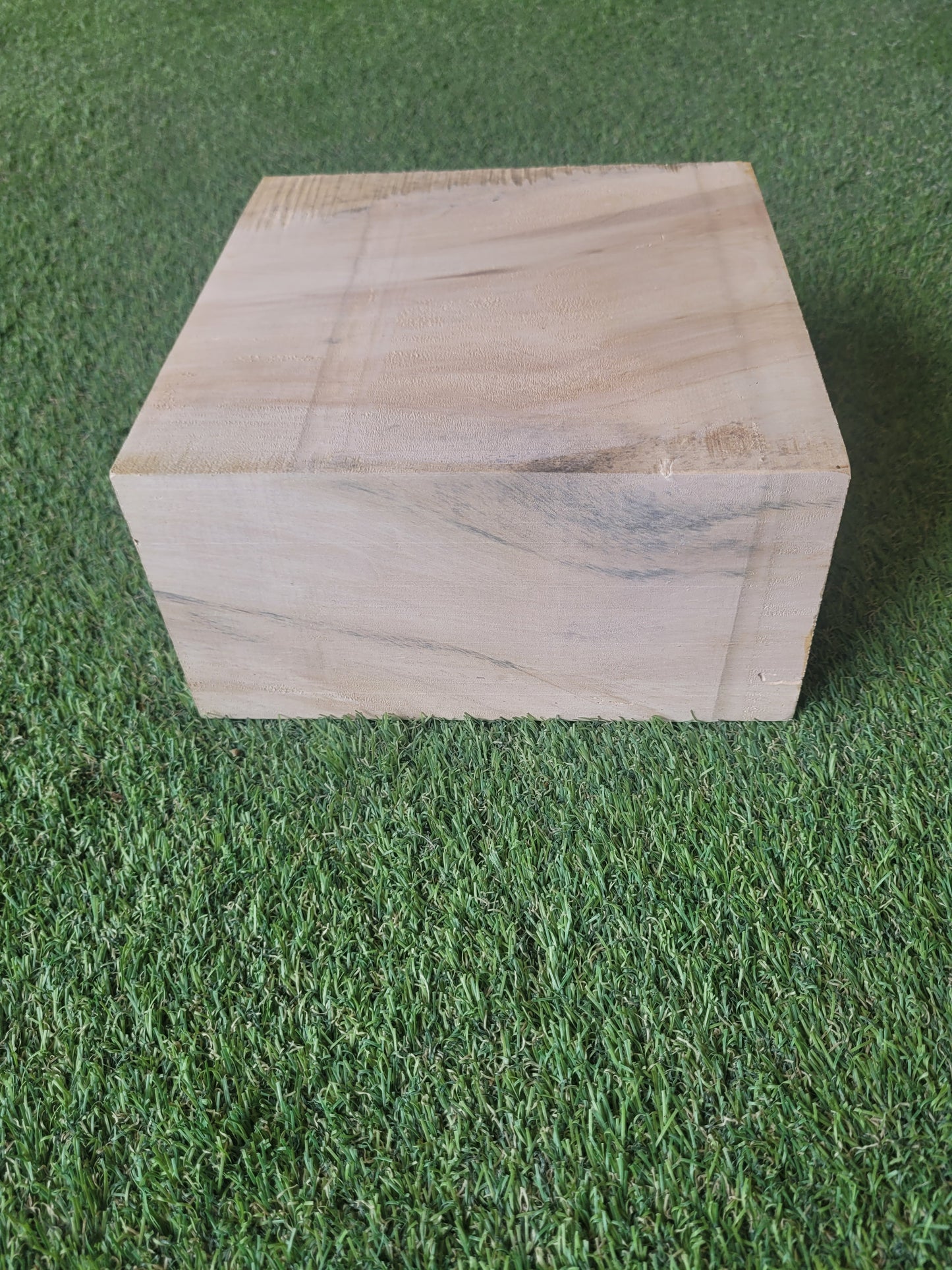 Spalted Horse Chestnut Woodturning Blanks 7-9.5cm Thick