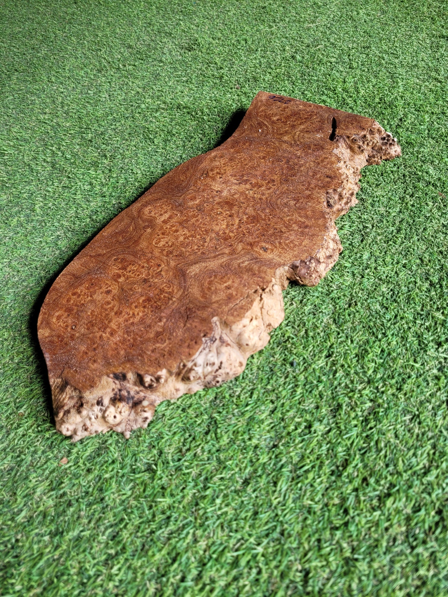 Burr Elm Woodturning Blank 39x17x2.3cm (2726)