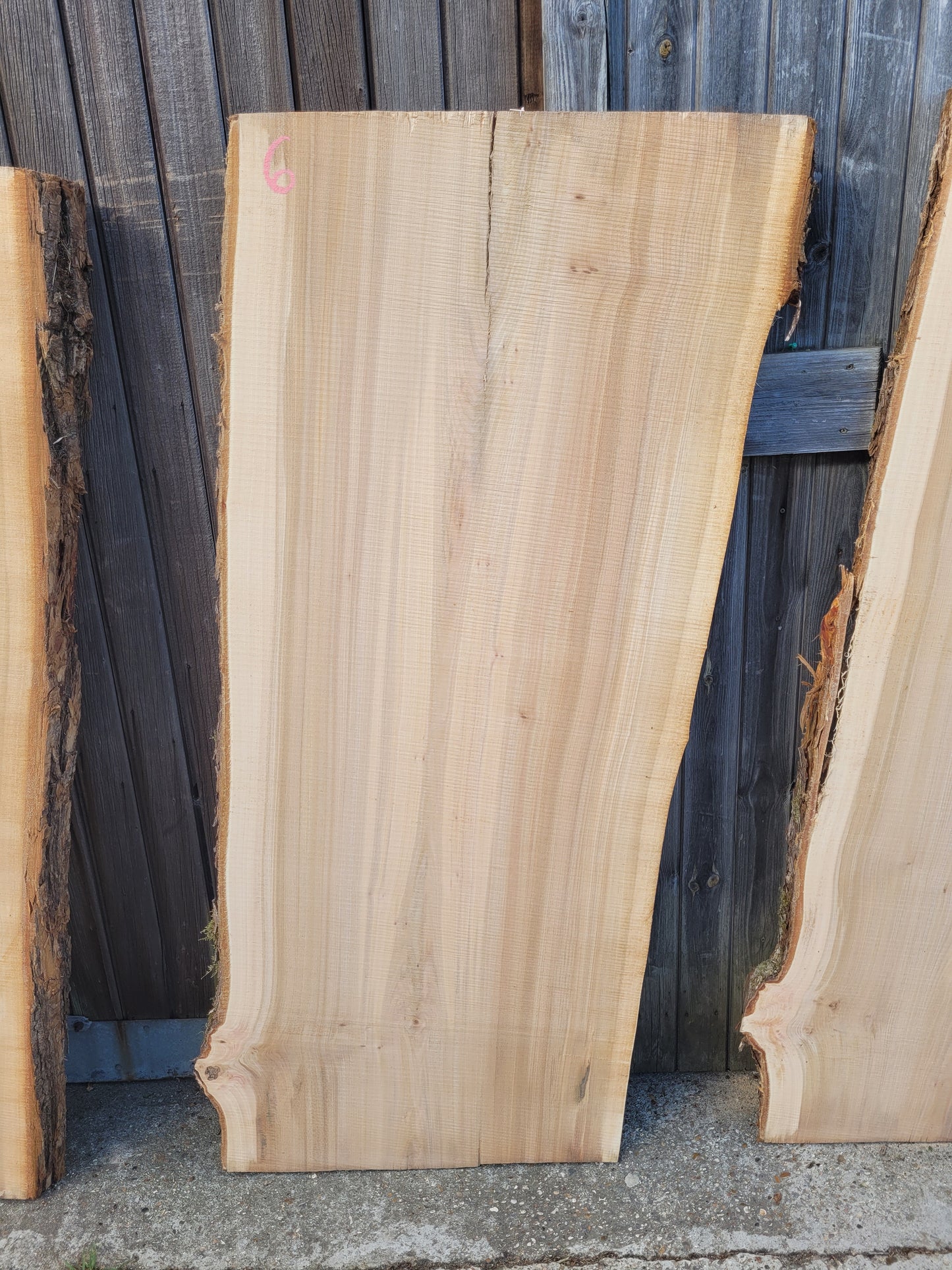 Elm Log 1.5m 22 ft3 Stunning (100)