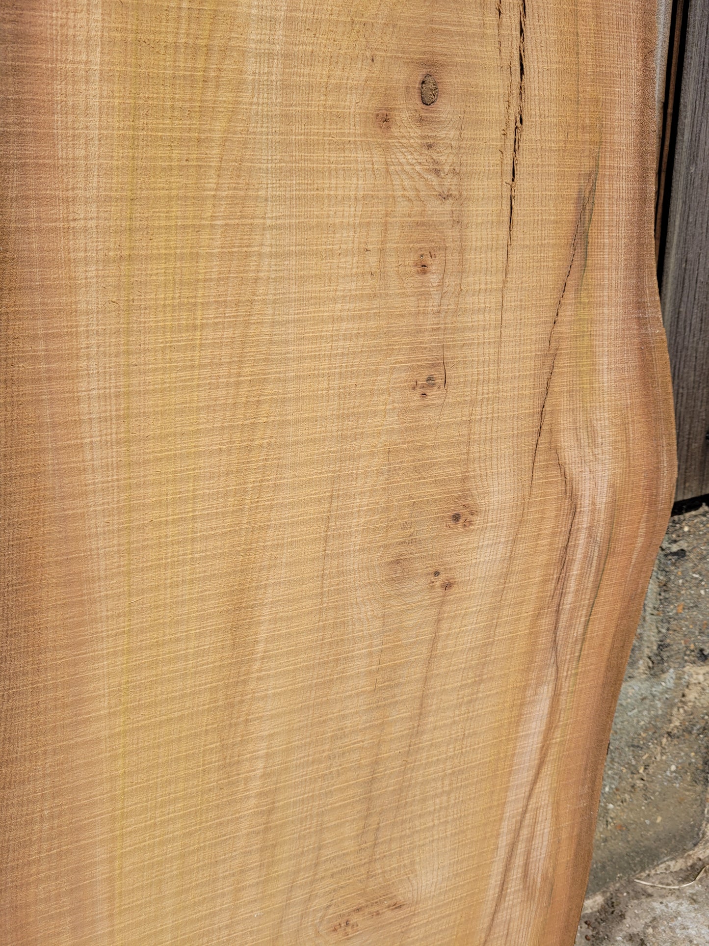 Burr Elm Live Edge Boards (101d/2&3)