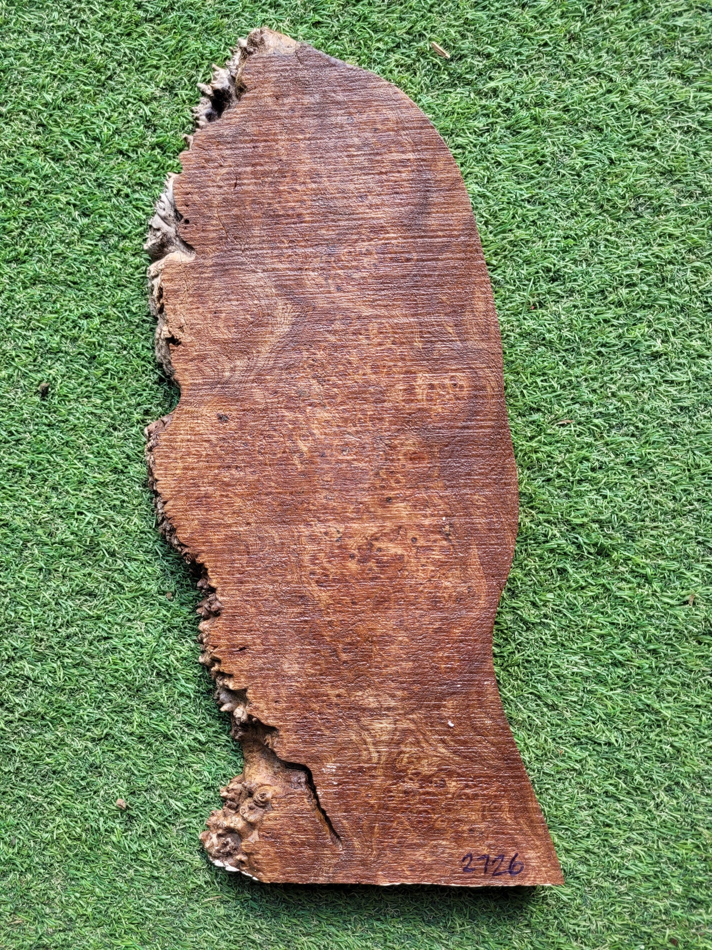 Burr Elm Woodturning Blank 39x17x2.3cm (2726)