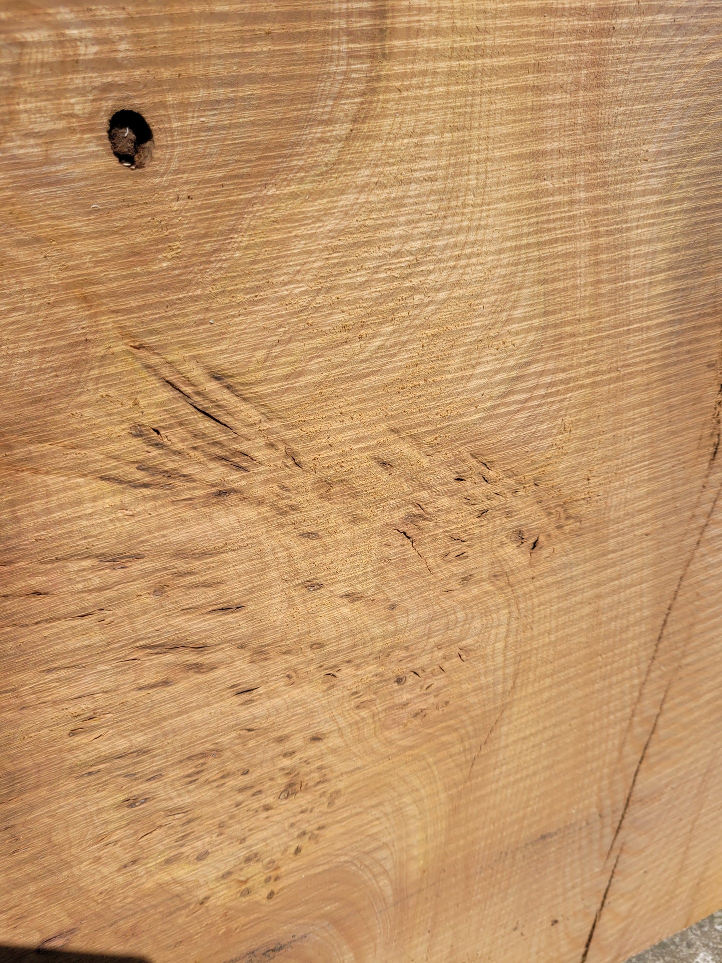 Burr Elm Live Edge Boards (101f/1&2)