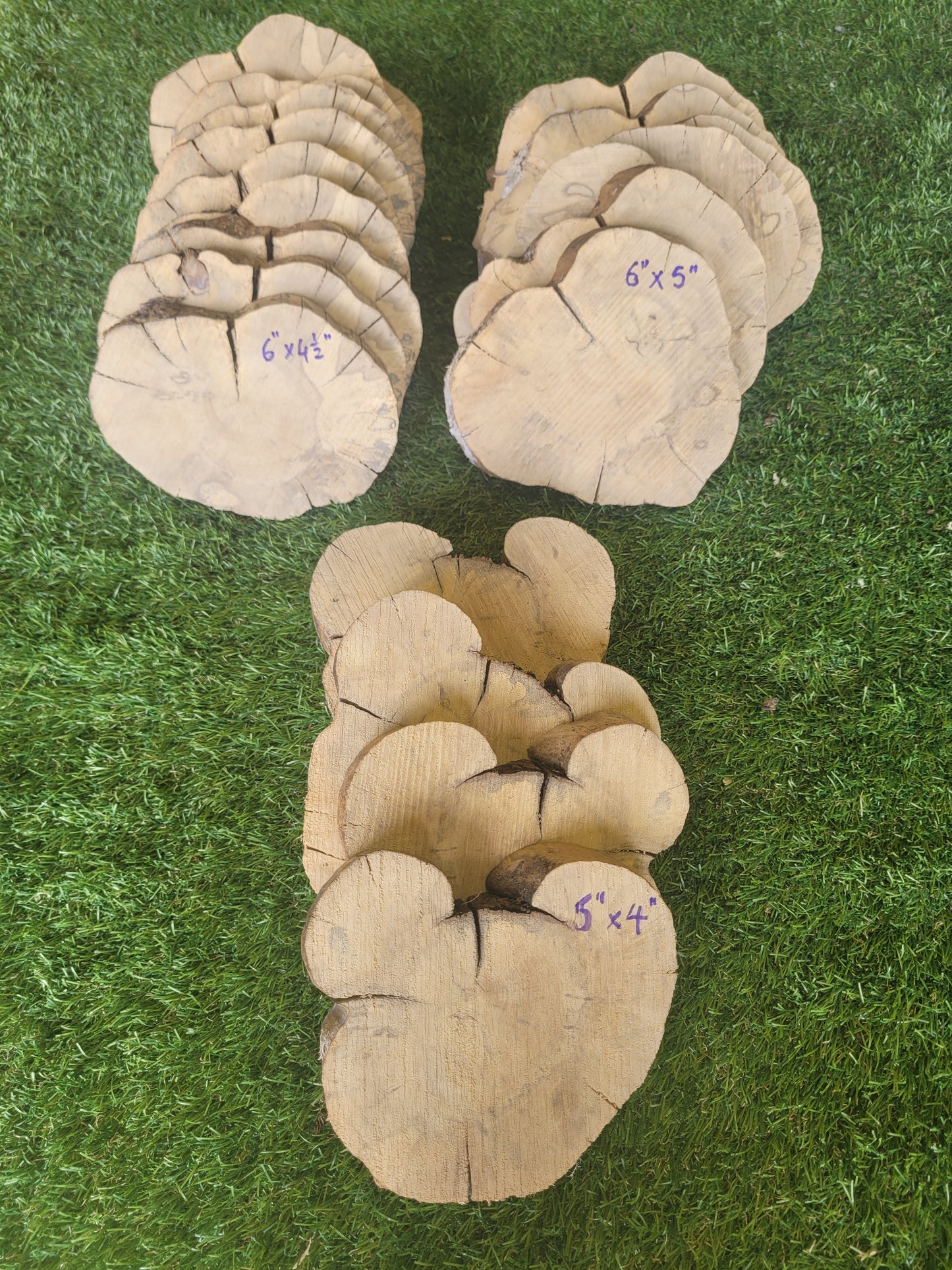 Boxwood Slices Pack of 3 Pieces 25mm Thick