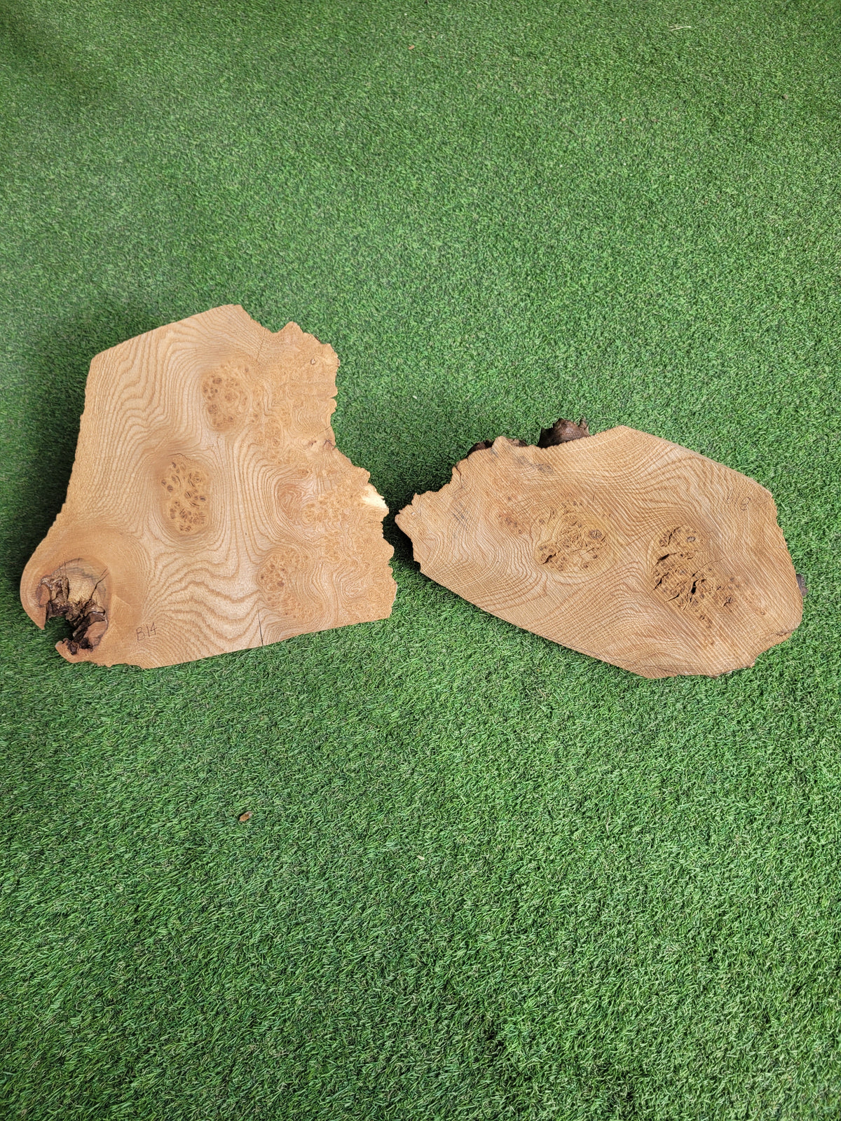 Burr Elm x2 Woodturning Blanks Live Edge (B14&B19)