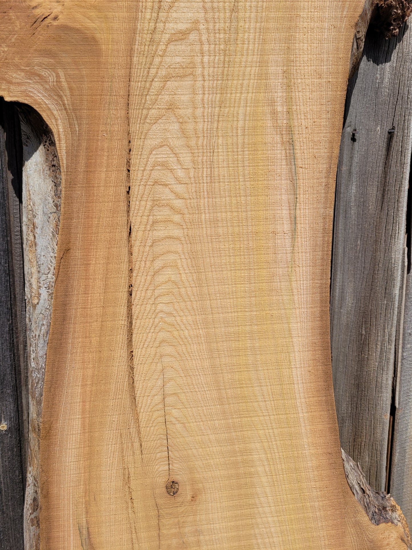 Burr Elm Live Edge Boards (101d/2&3)