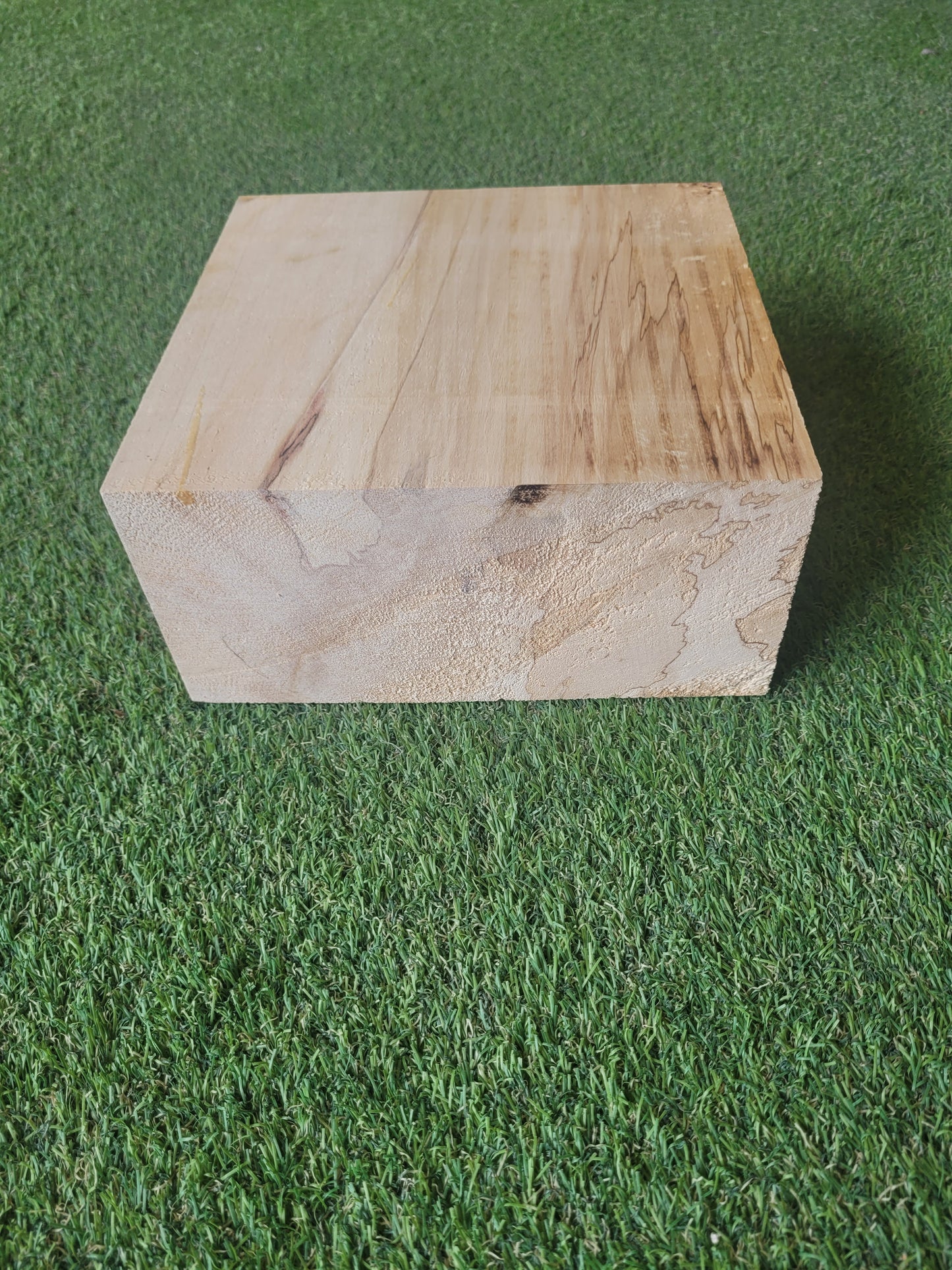 Spalted Horse Chestnut Woodturning Blanks 7-9.5cm Thick