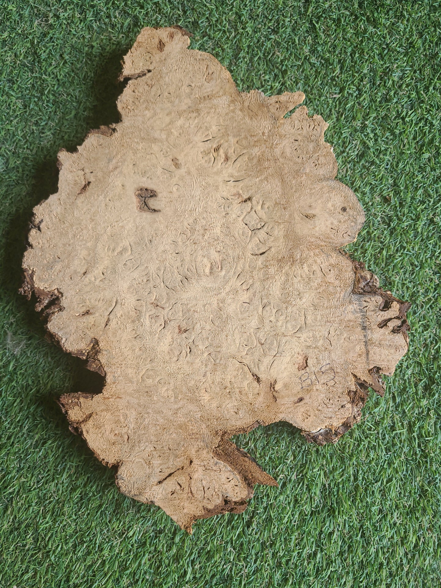 Burr Oak Woodturning Blank 28x20x2.5cm (B15)