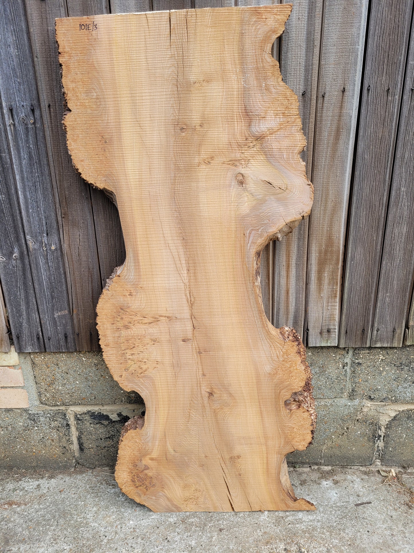 Burr Elm Live Edge Boards (101e/1-5)