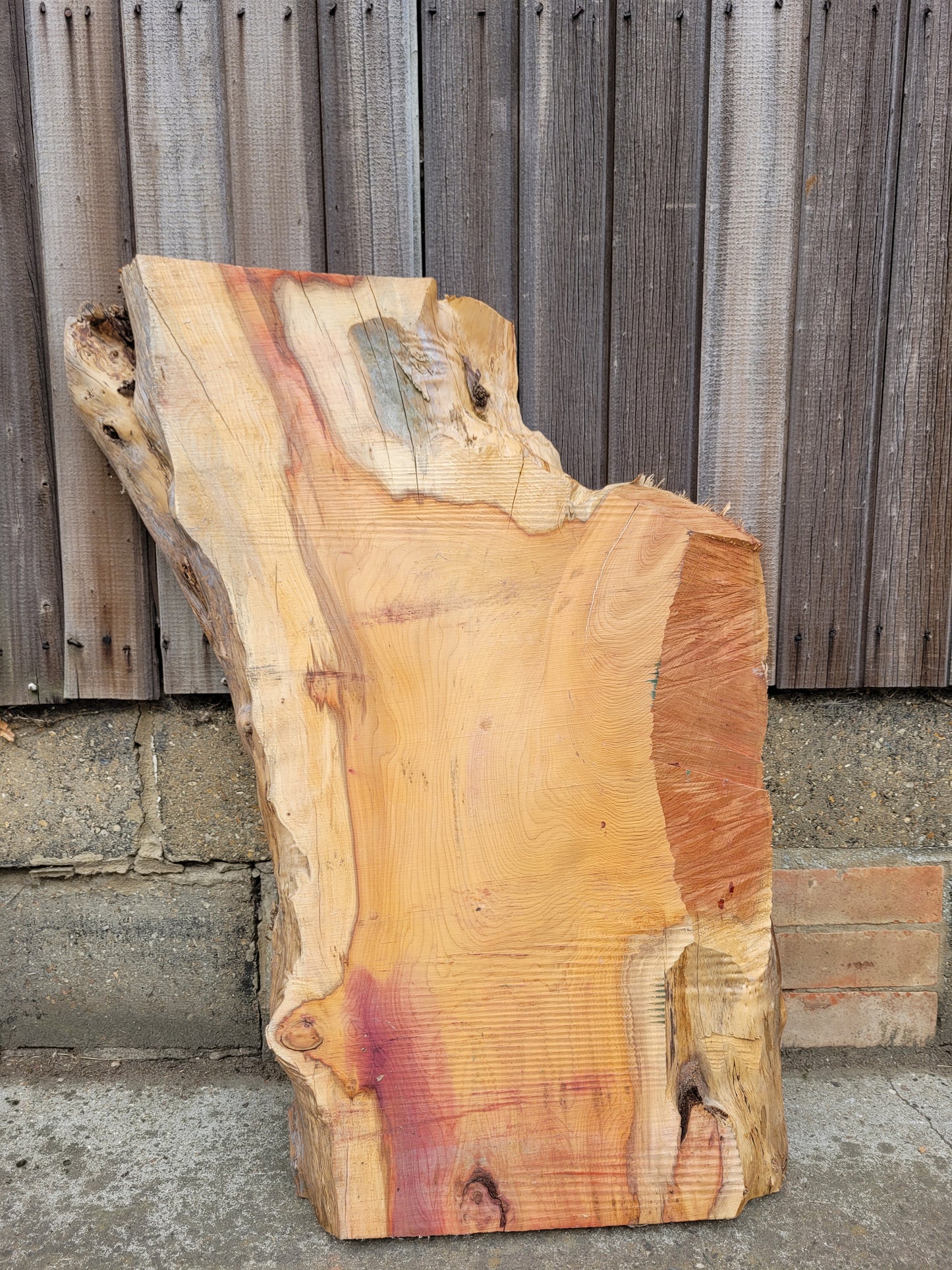 Yew Live Edge Slabs