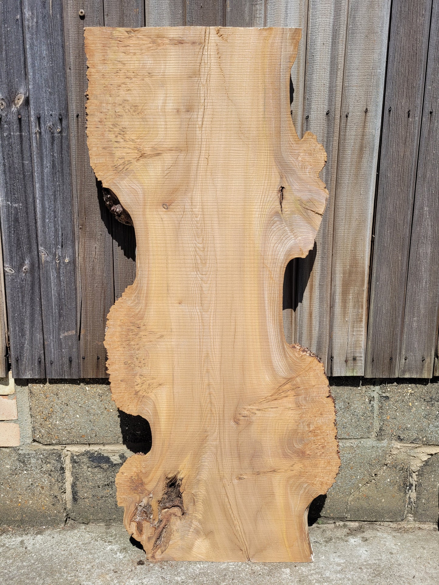 Burr Elm Live Edge Boards (101e/1&2)