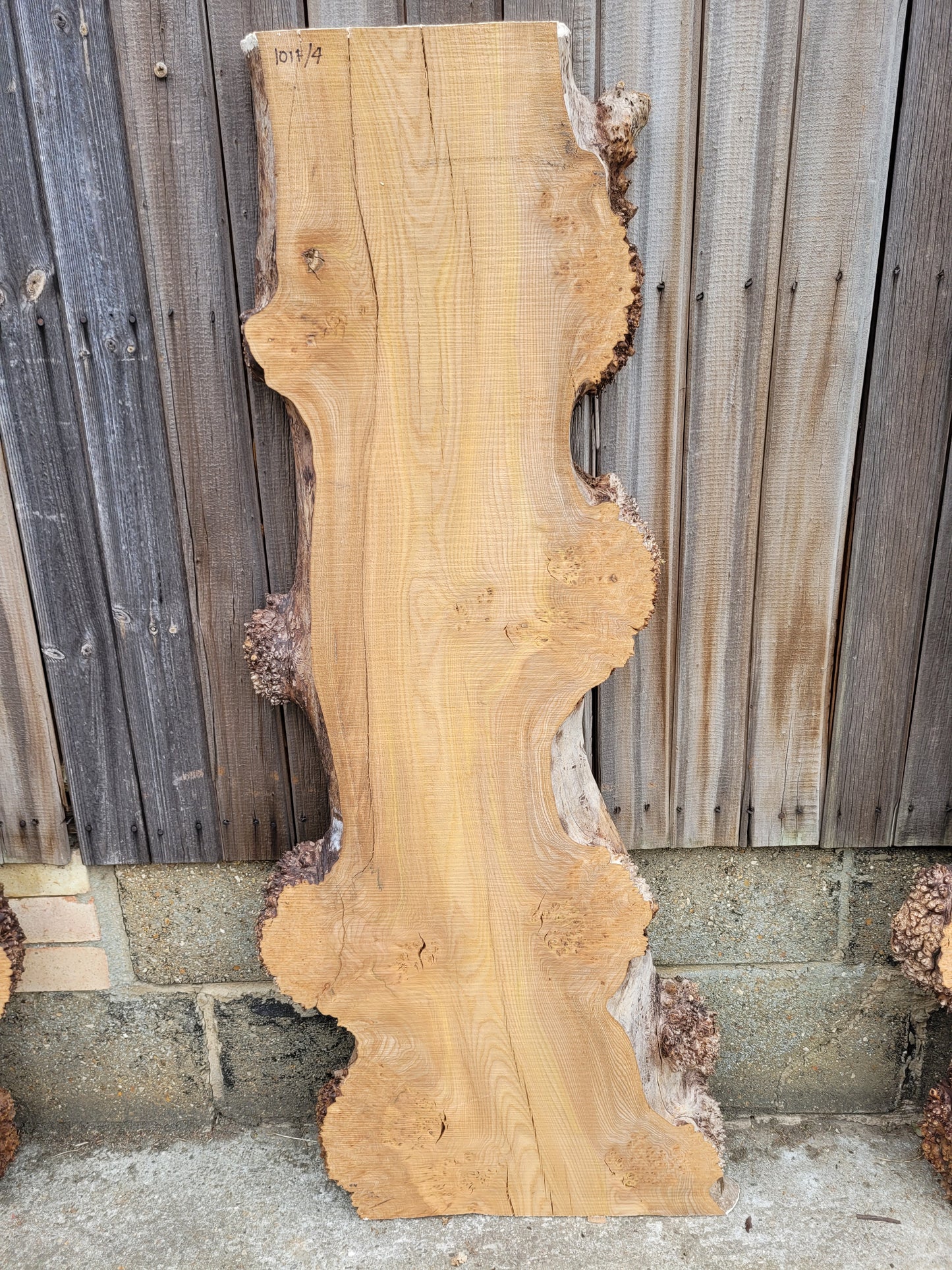 Burr Elm Live Edge Boards (101f/1-5)