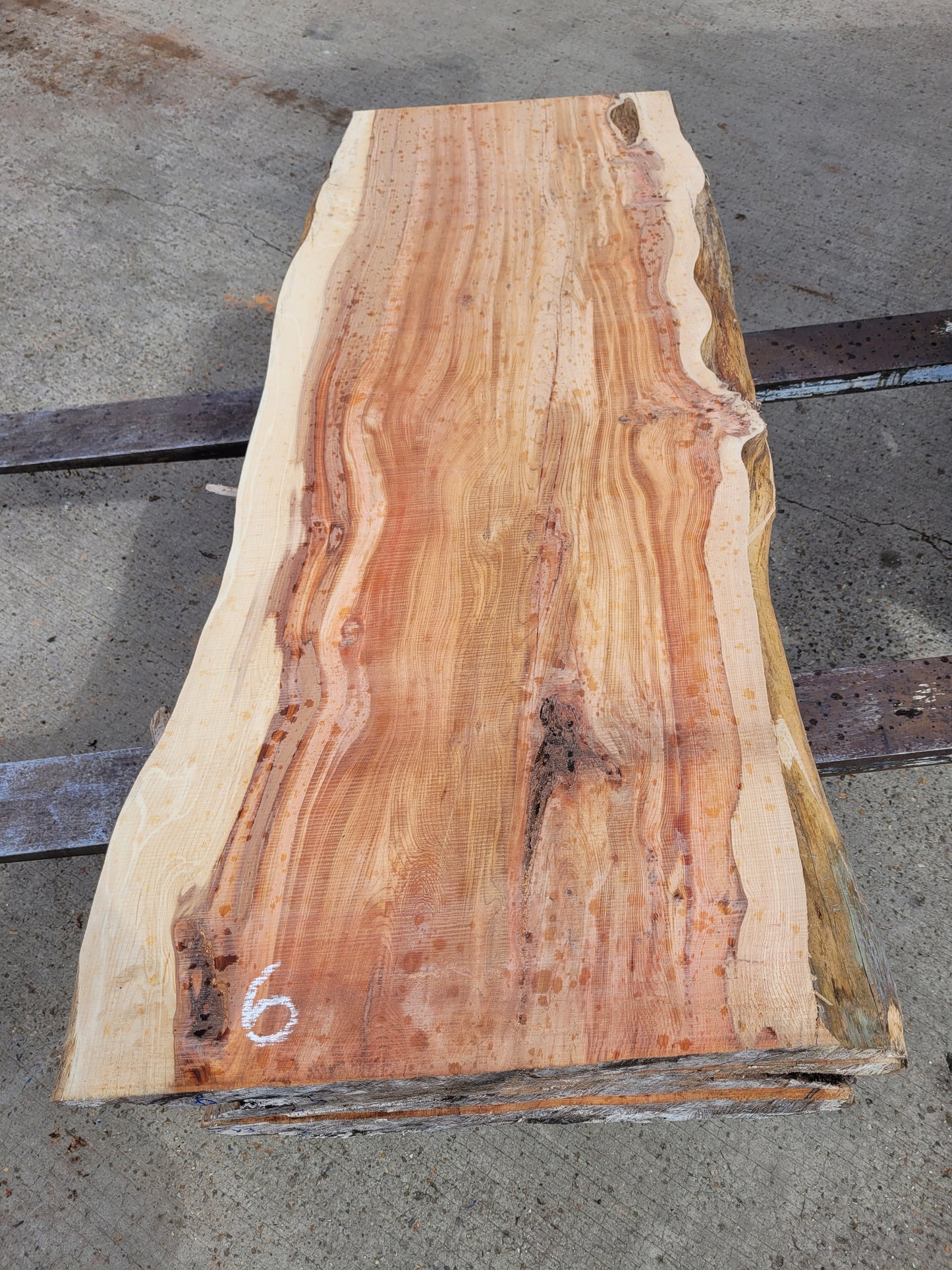 Yew Log 1.24m 8.6 ft3 (Y3)