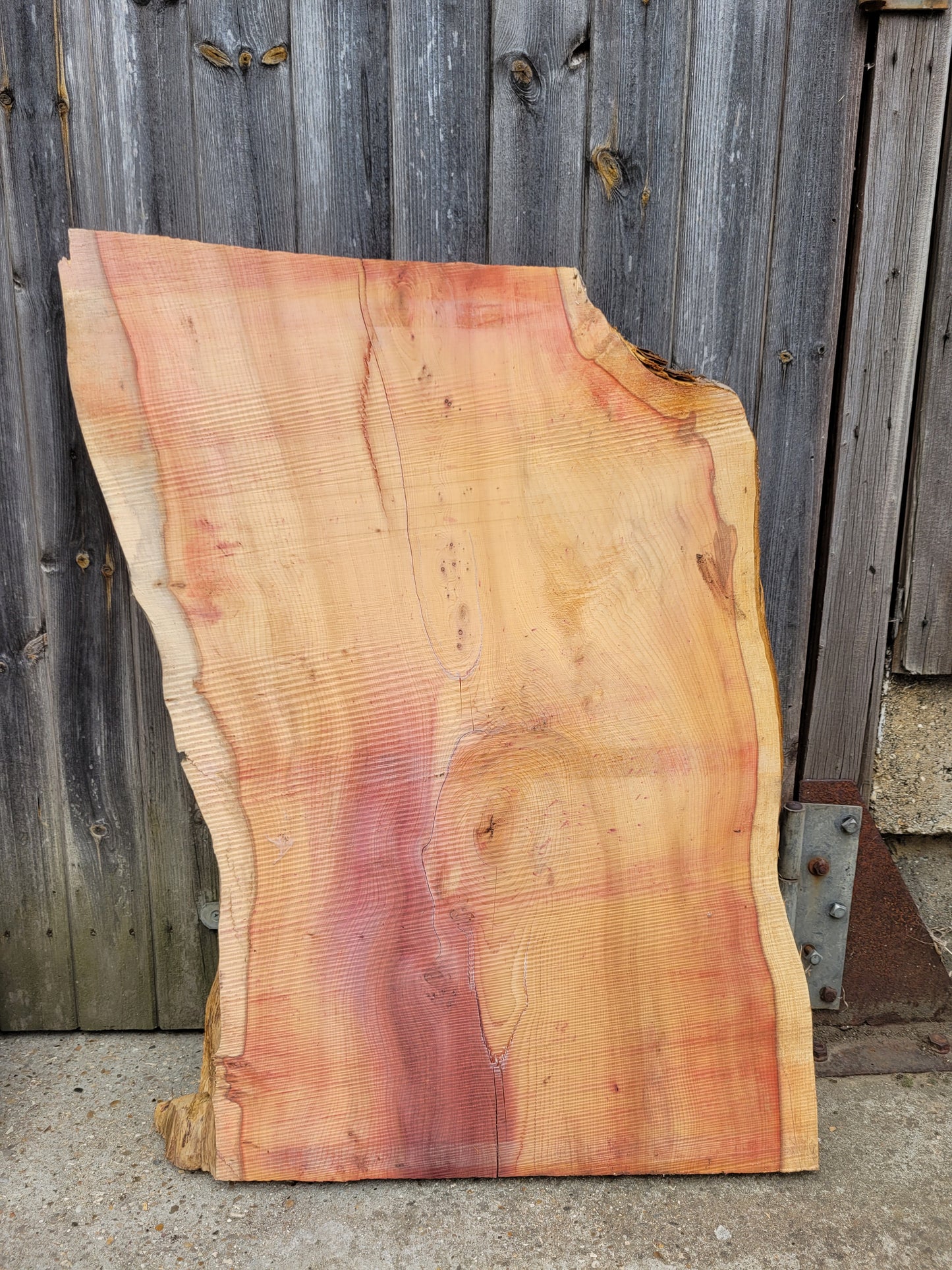 Yew Live Edge Slabs