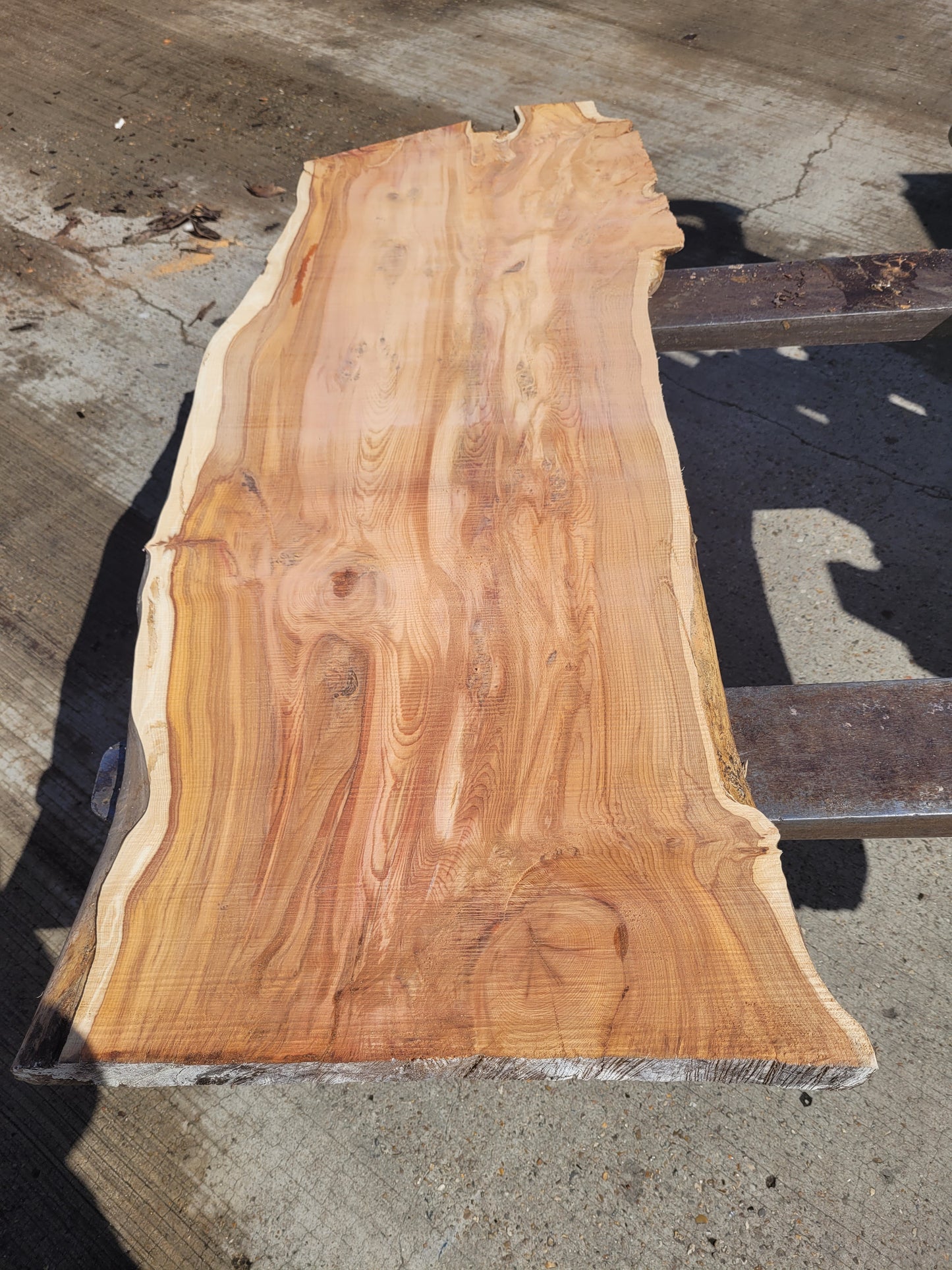 Yew Log 1.24m 8.6 ft3 (Y3)