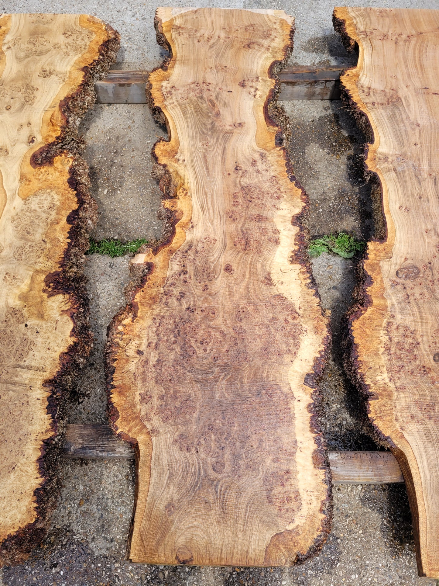 Burr Oak Live Edge Board (108/3)