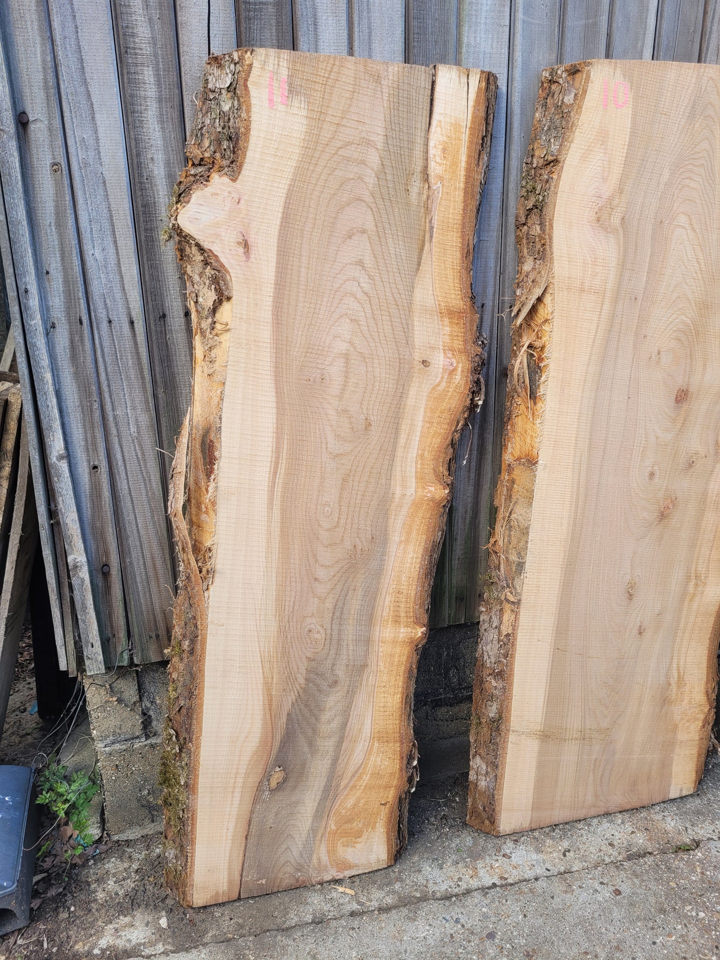 Elm Log 1.5m 22 ft3 Stunning (100)