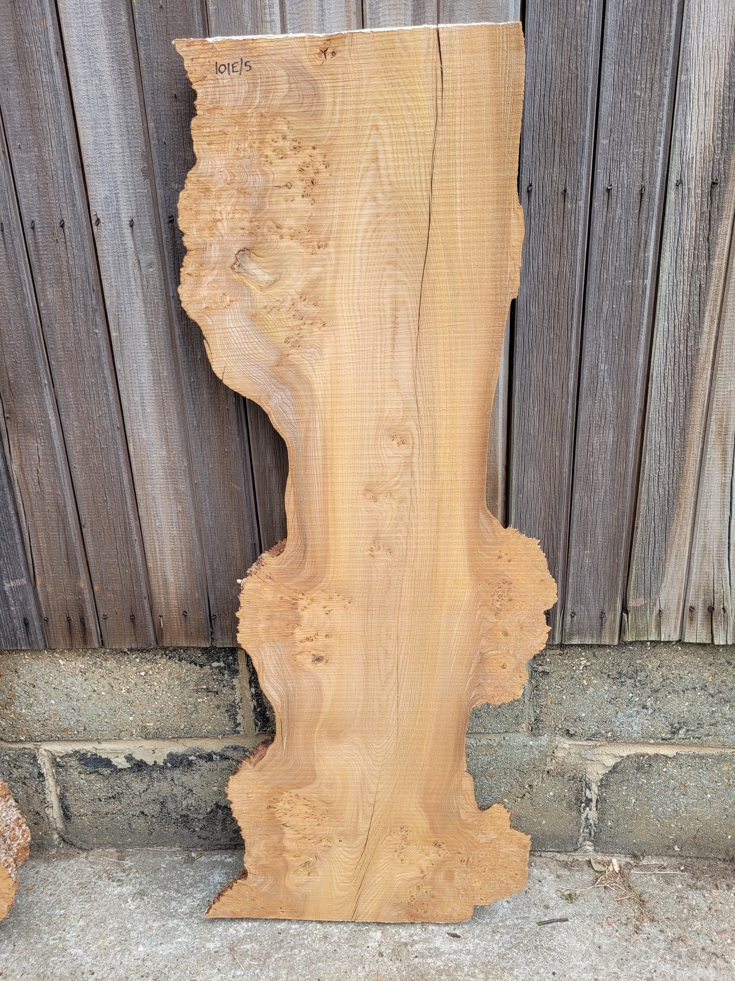 Burr Elm Live Edge Boards (101e/1-5)