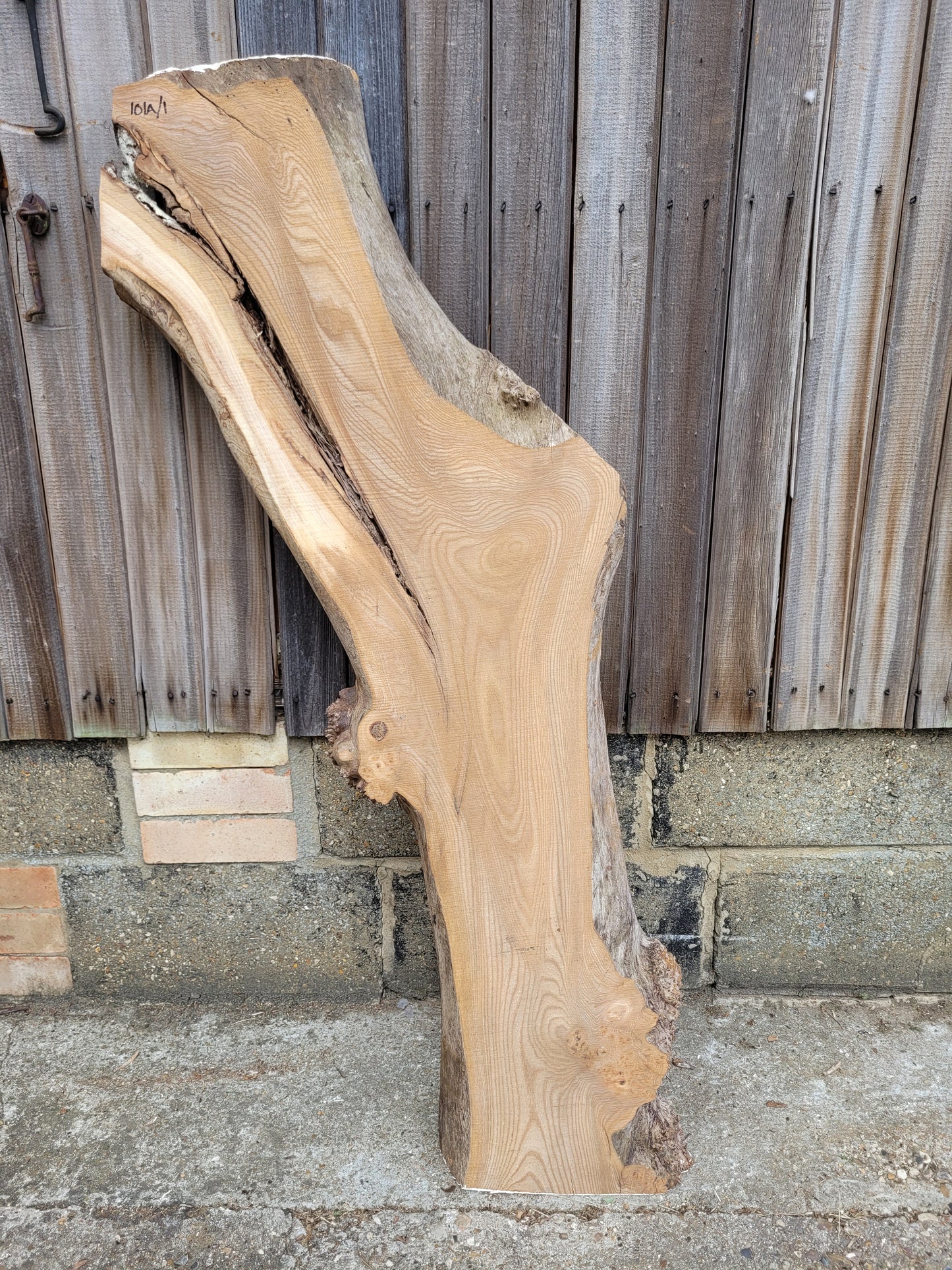 Burr Elm Live Edge Boards Rustic (101a/1-3)