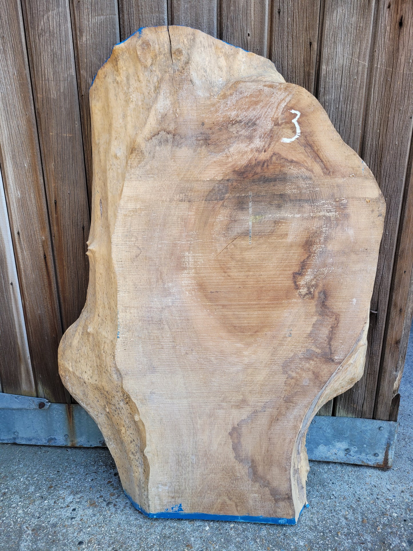 English Walnut Slab Live Edge Board Table Top 950 x 380/640 x 75mm (3)