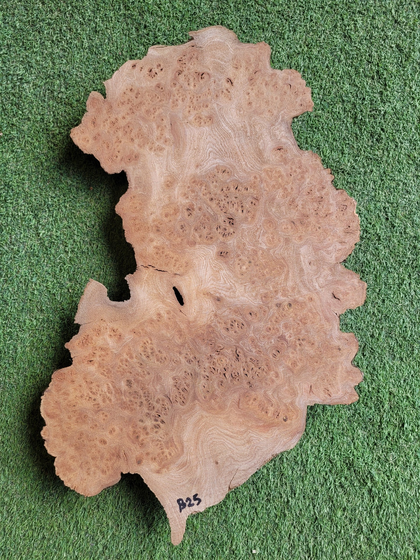 Burr Elm Woodturning Blank 57x30x4.5cm (B25)