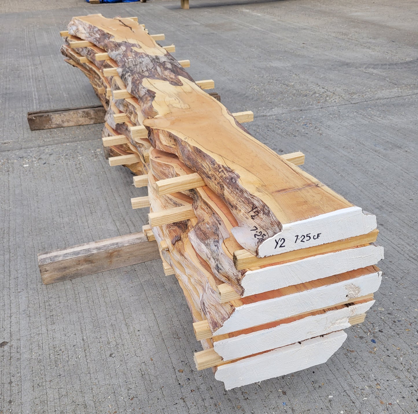 Yew Log 2.4m 7.25 ft3 (Y2)