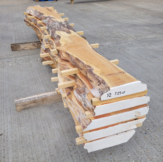 Yew Log 2.4m 7.25 ft3 (Y2)