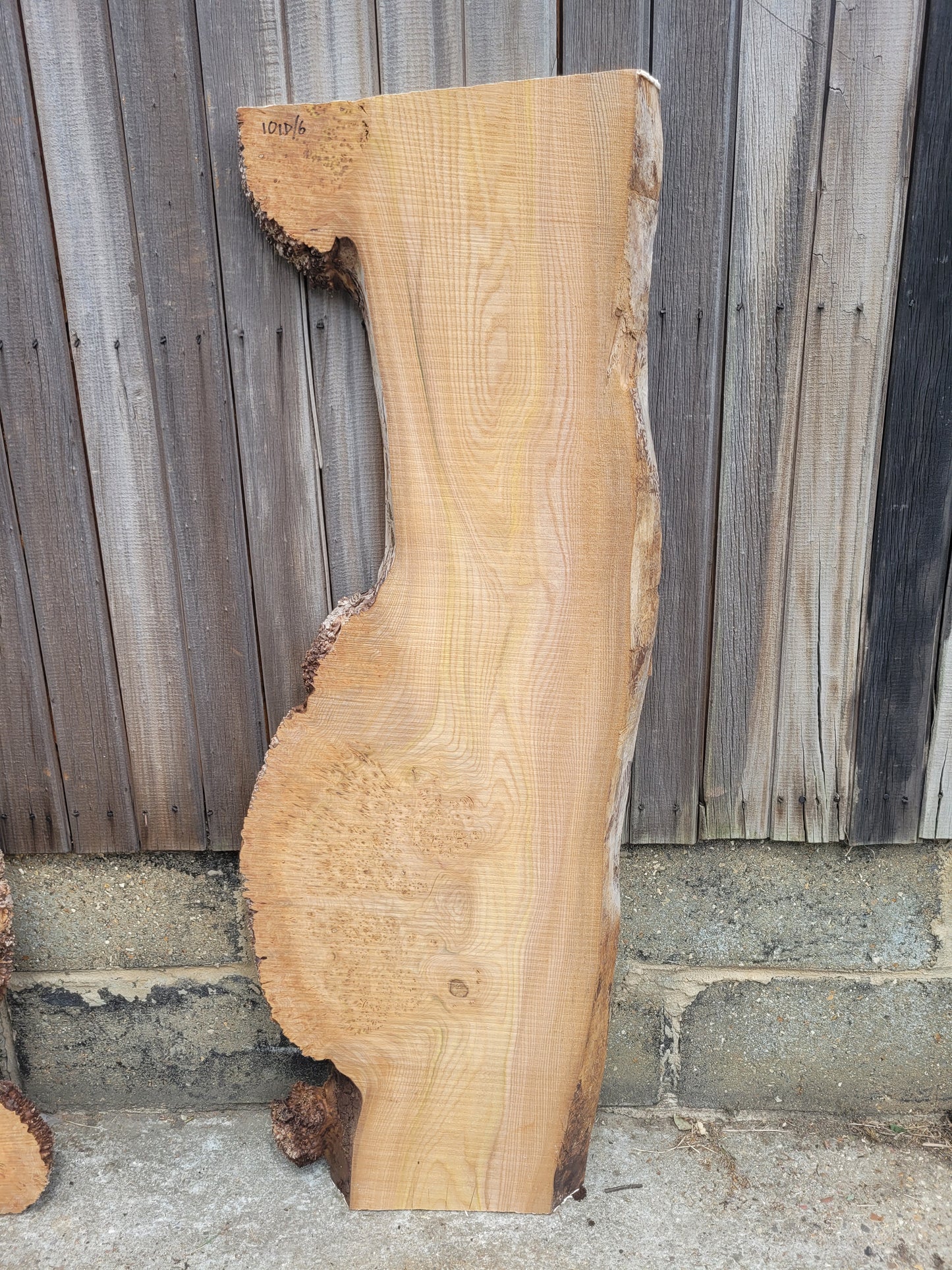 Burr Elm Live Edge Boards (101d/2-7)