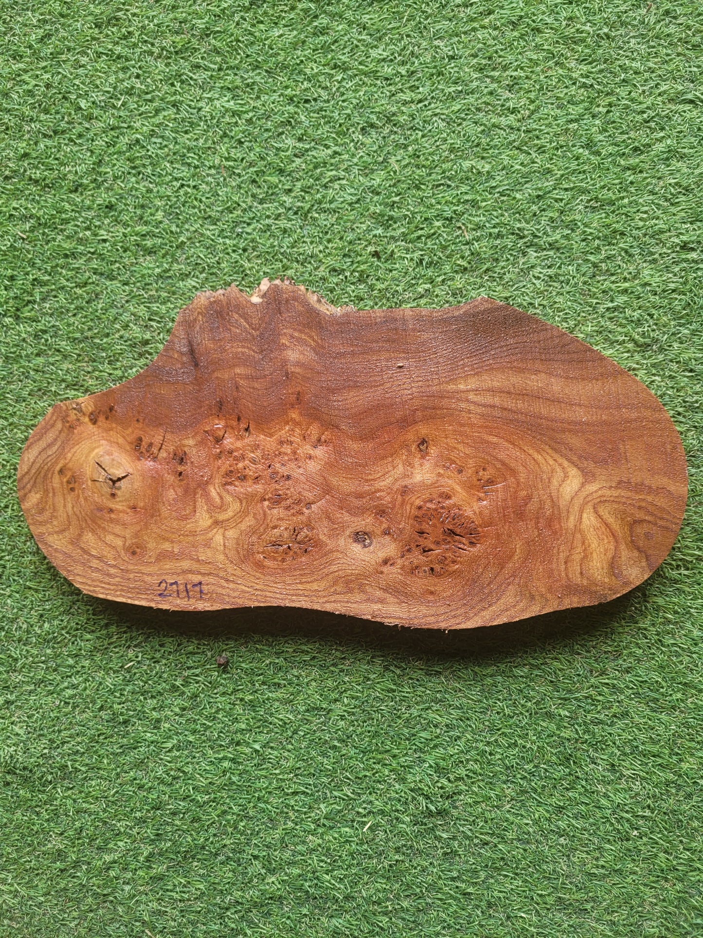 Burr Elm Woodturning Blank 36x17.5x2.3cm (2717)