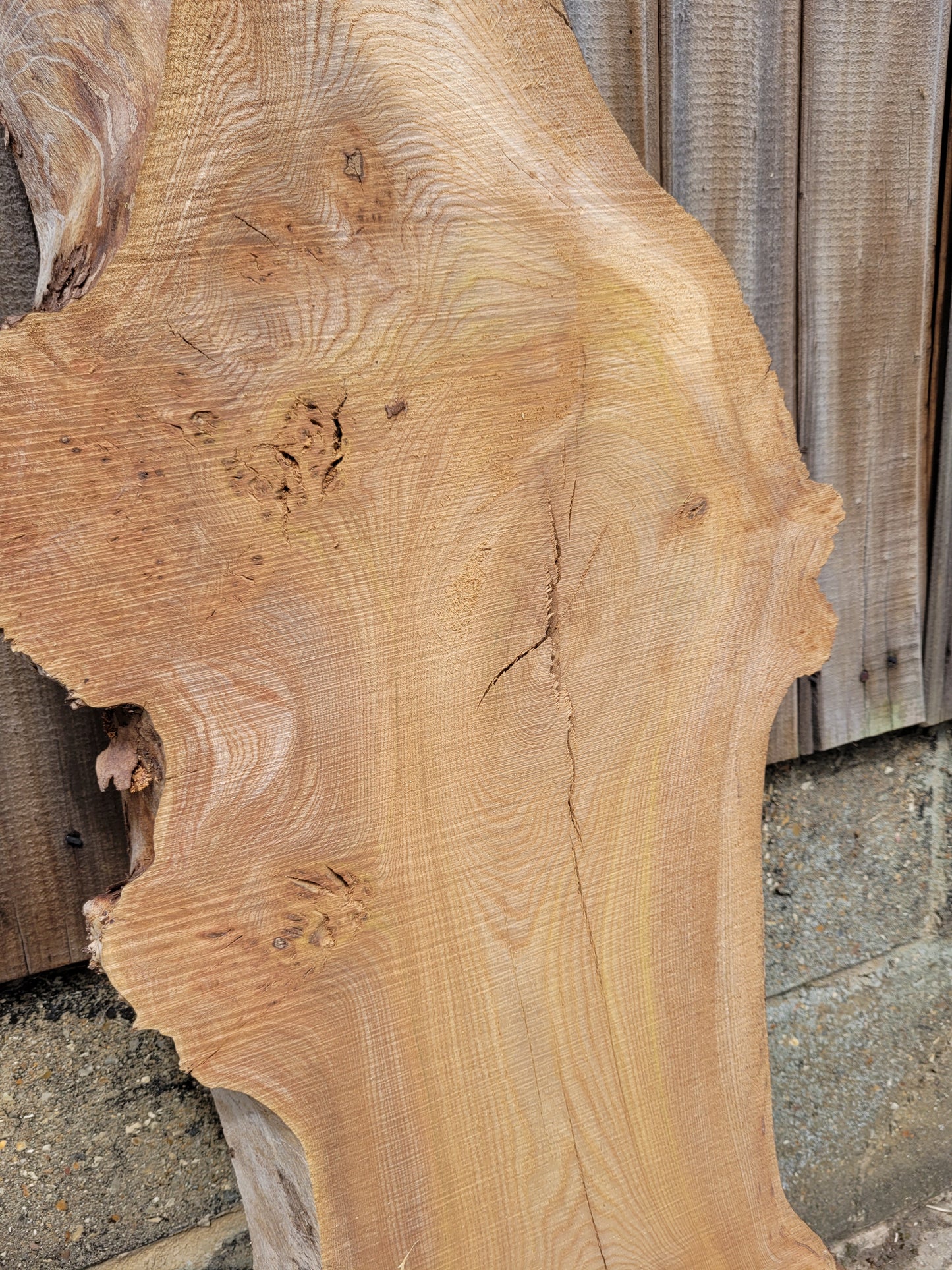Burr Elm Live Edge Boards (101b/1&2)