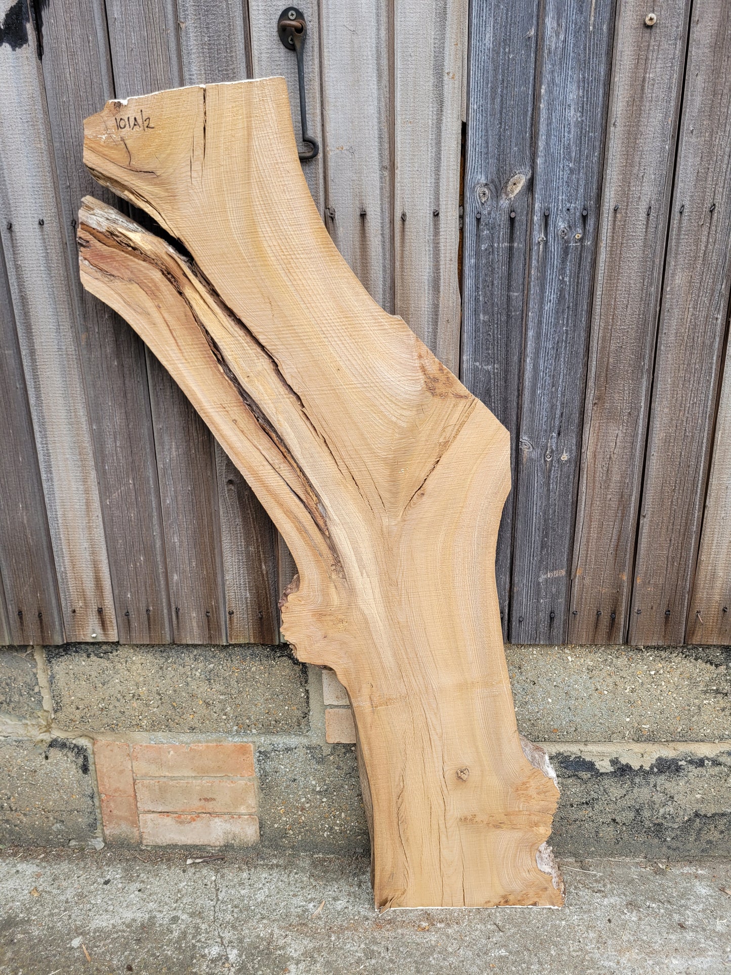 Burr Elm Live Edge Boards Rustic (101a/1-3)