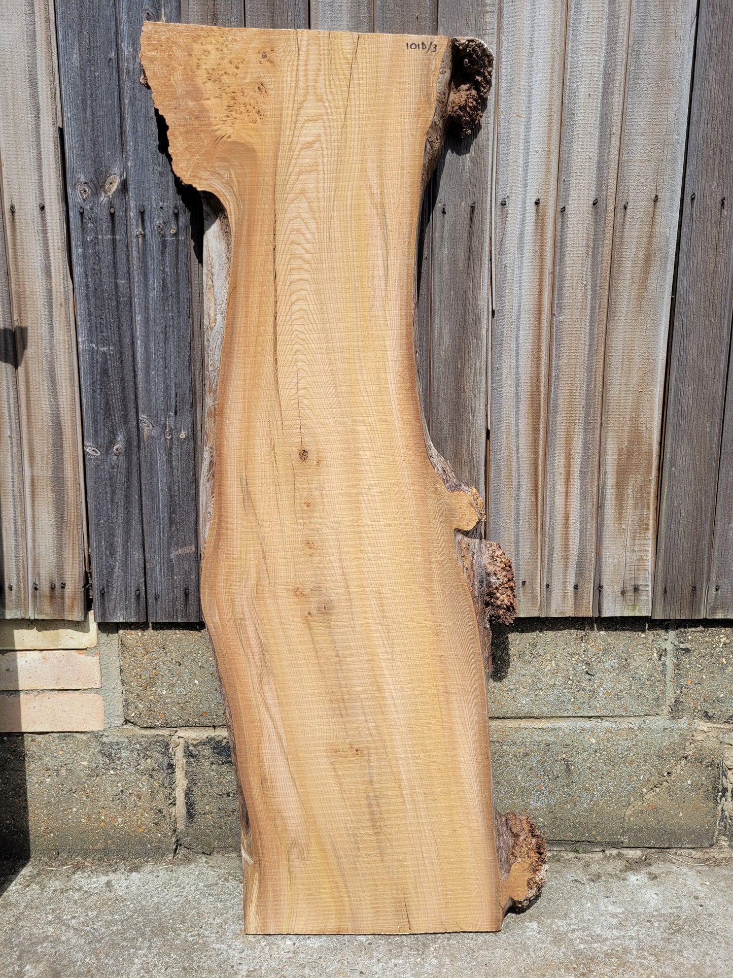 Burr Elm Live Edge Boards (101d/2&3)